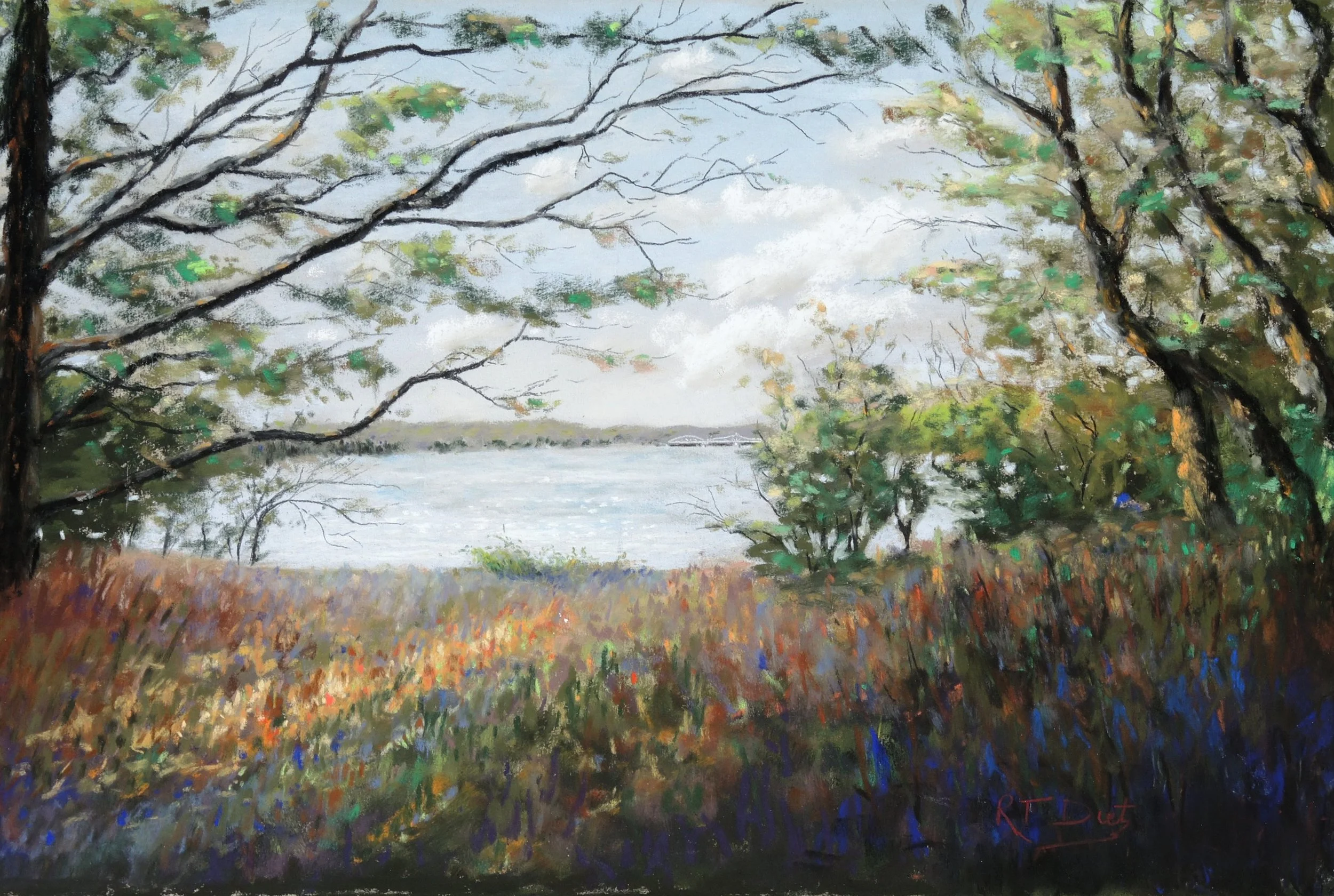 Claudia's View _01.JPG