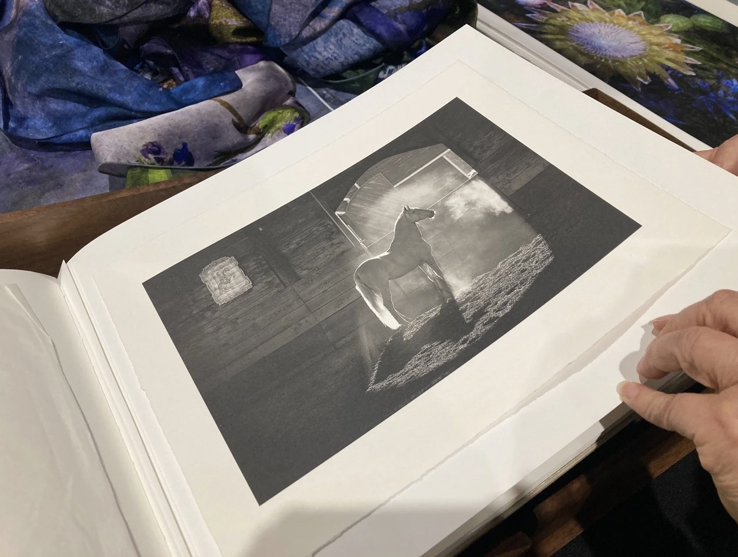 A color photograph of an open photographic portfolio, showing a black & white photograph of a horse. Photograph via Center For Photographic Art.