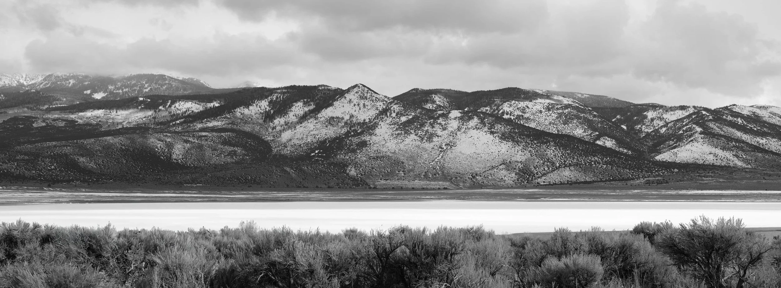 SCHOOL OF VISUAL ARTS