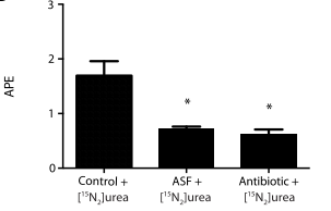 Fig. 3. In vivo heavy isotope assays using 15N-labeled urea to determine the effect of bacterial urease on nitrogen flux in the murine gut microbiota.