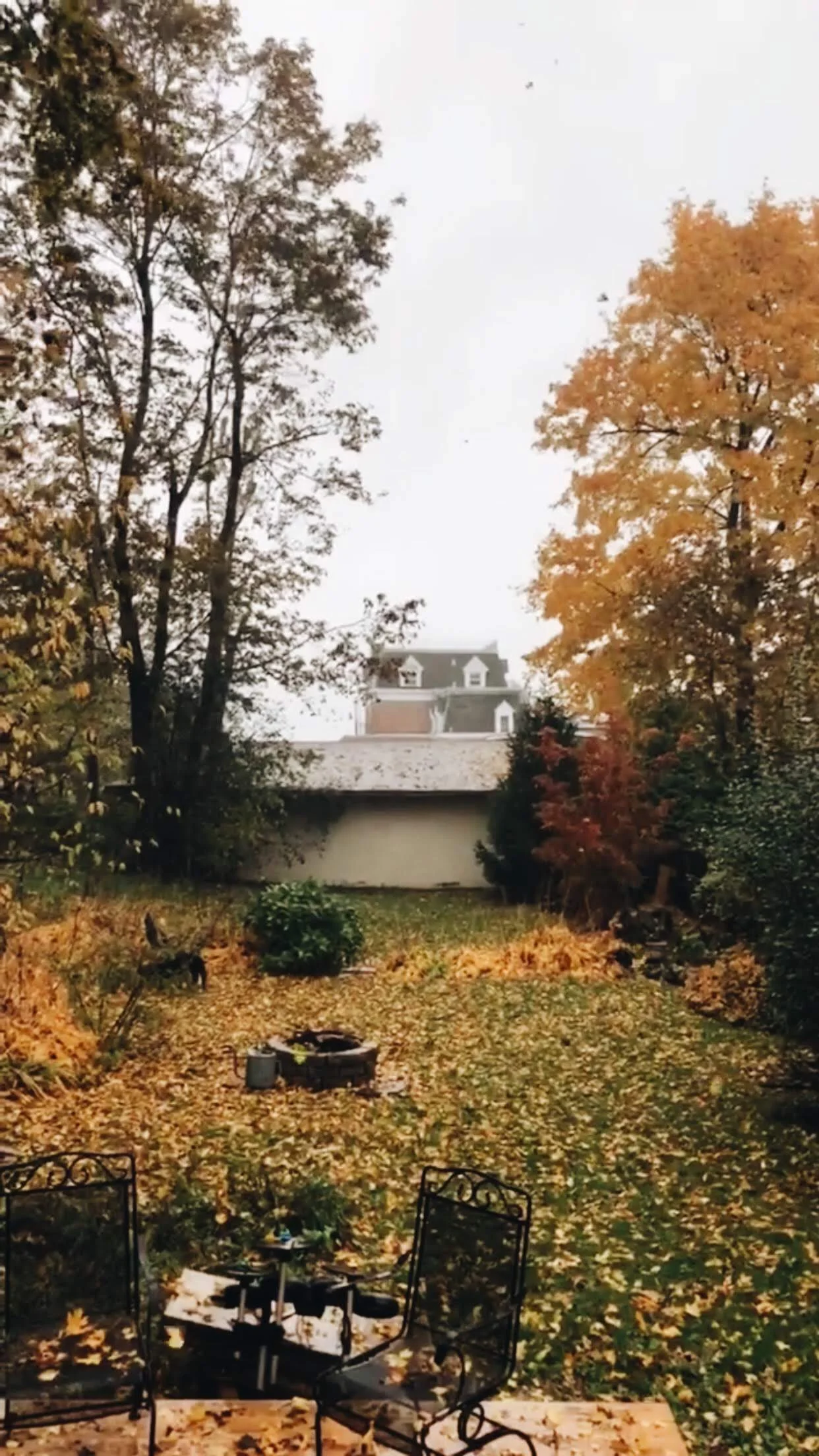 My Day | Thoughts and Resources on Mindset