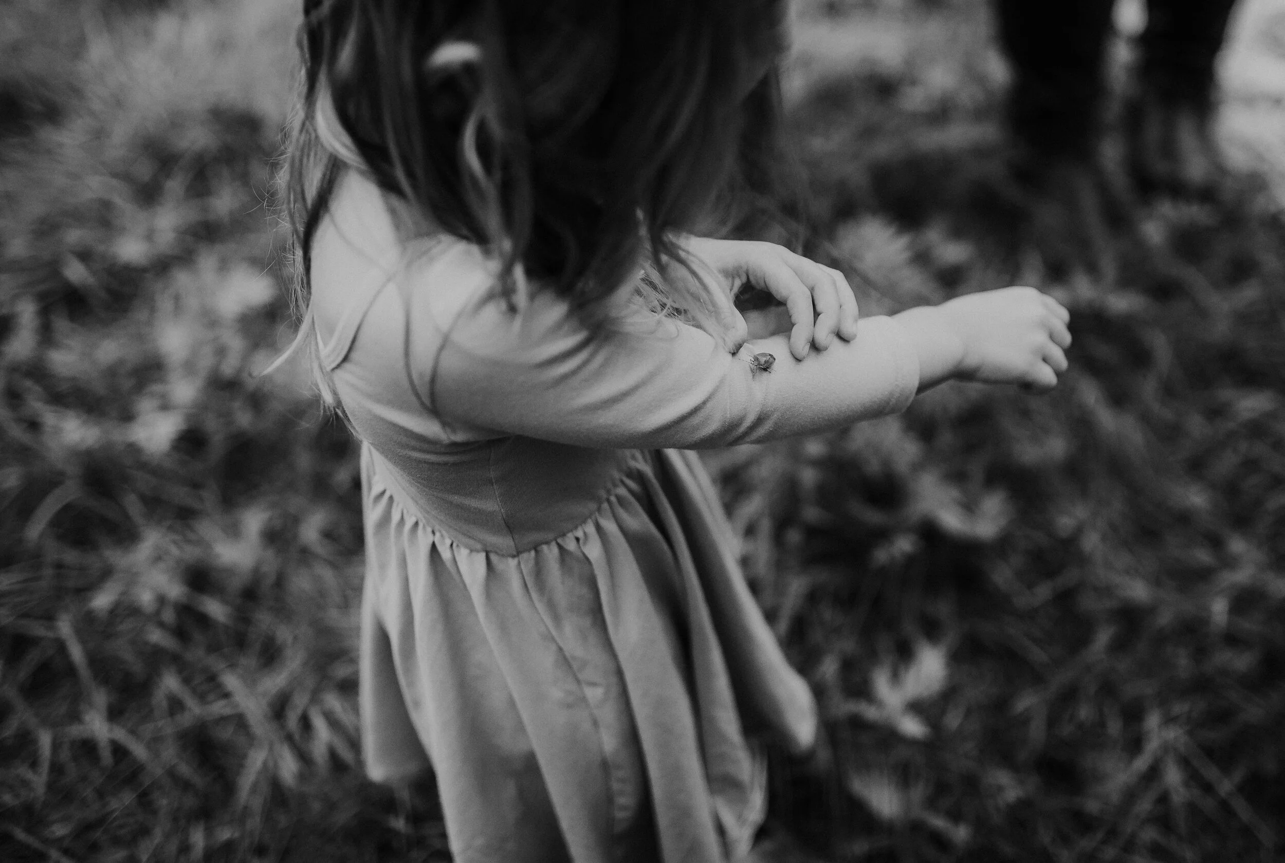 The Art of Inquiry | Putting Curiosity into Action 