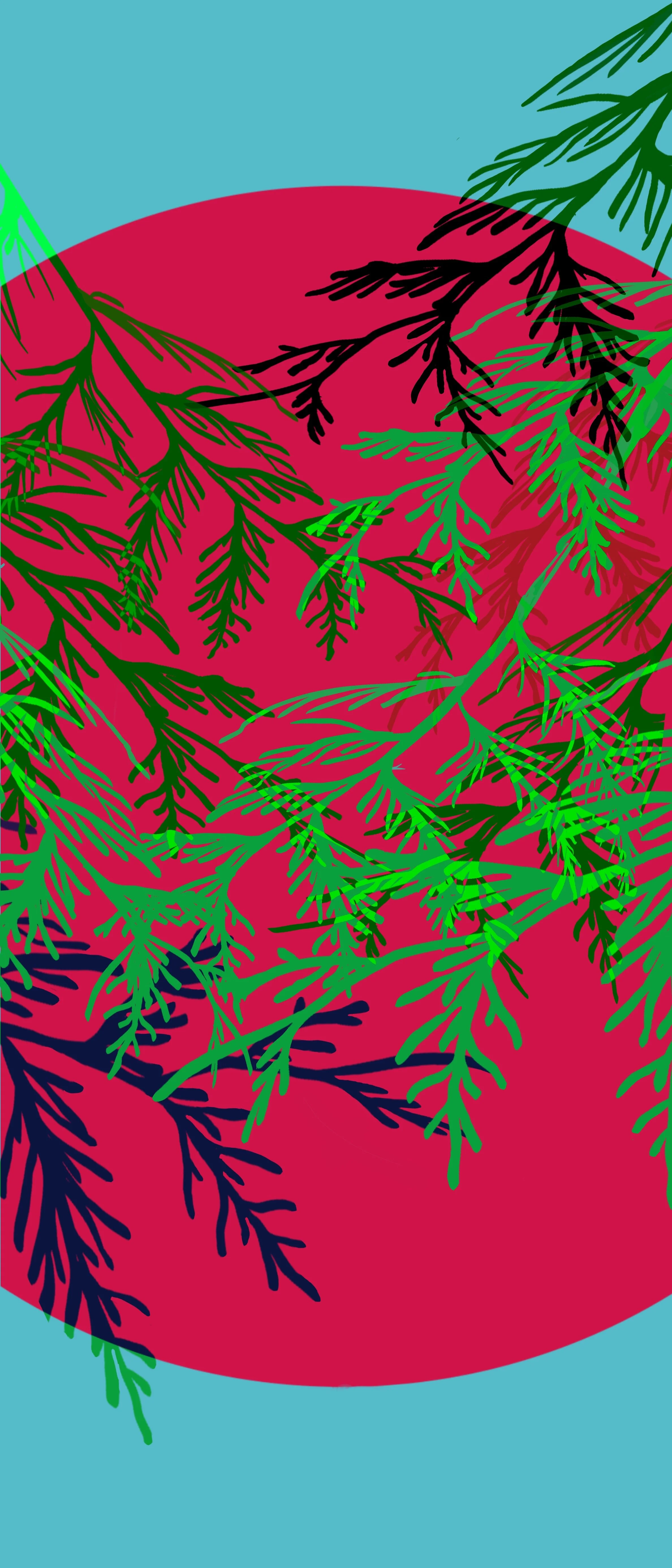 Cedar.JPG