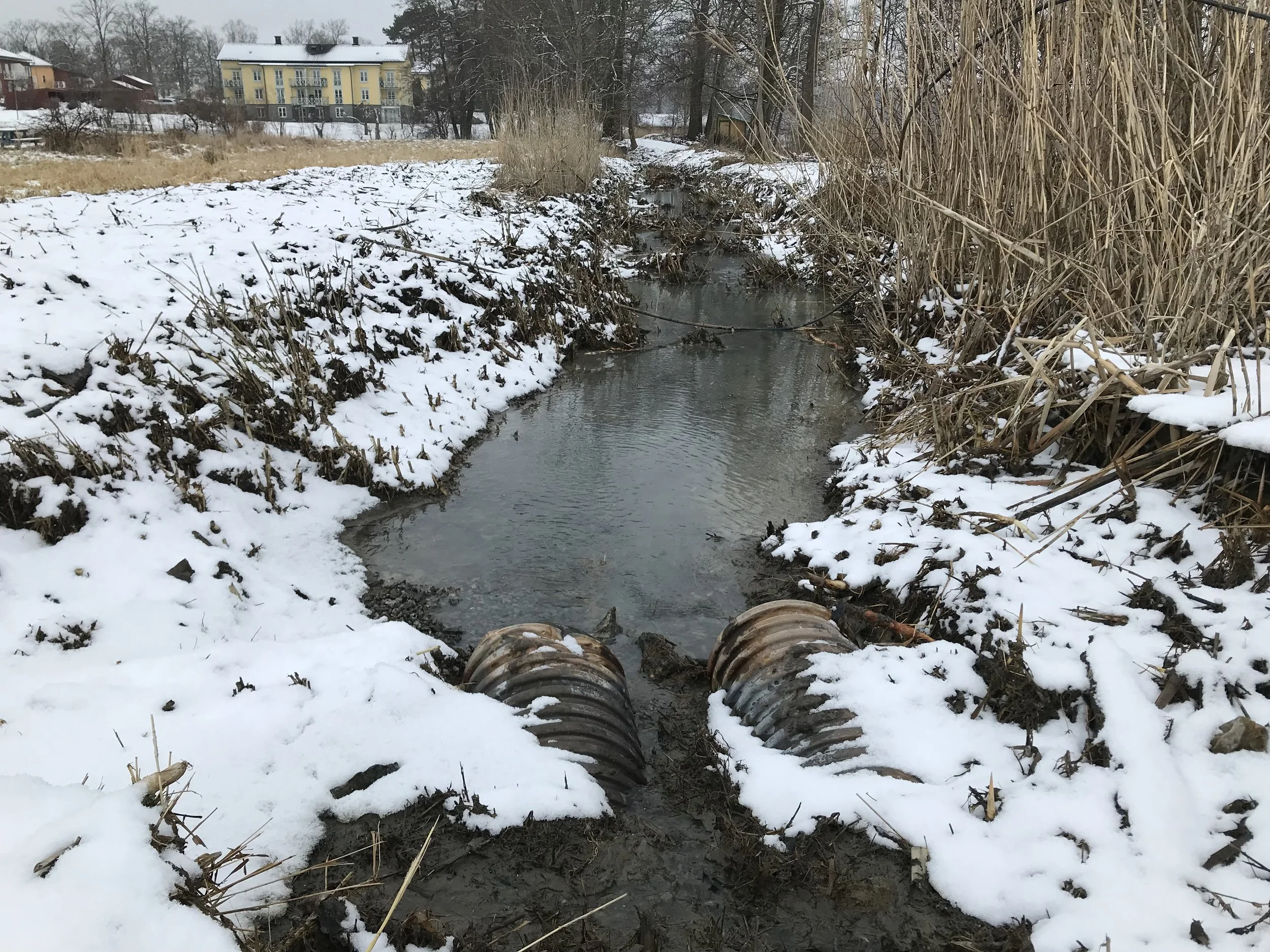 Det urgrävda lakvattendiket mellan Odelbergs väg och Farstaviken. 2018-02-15