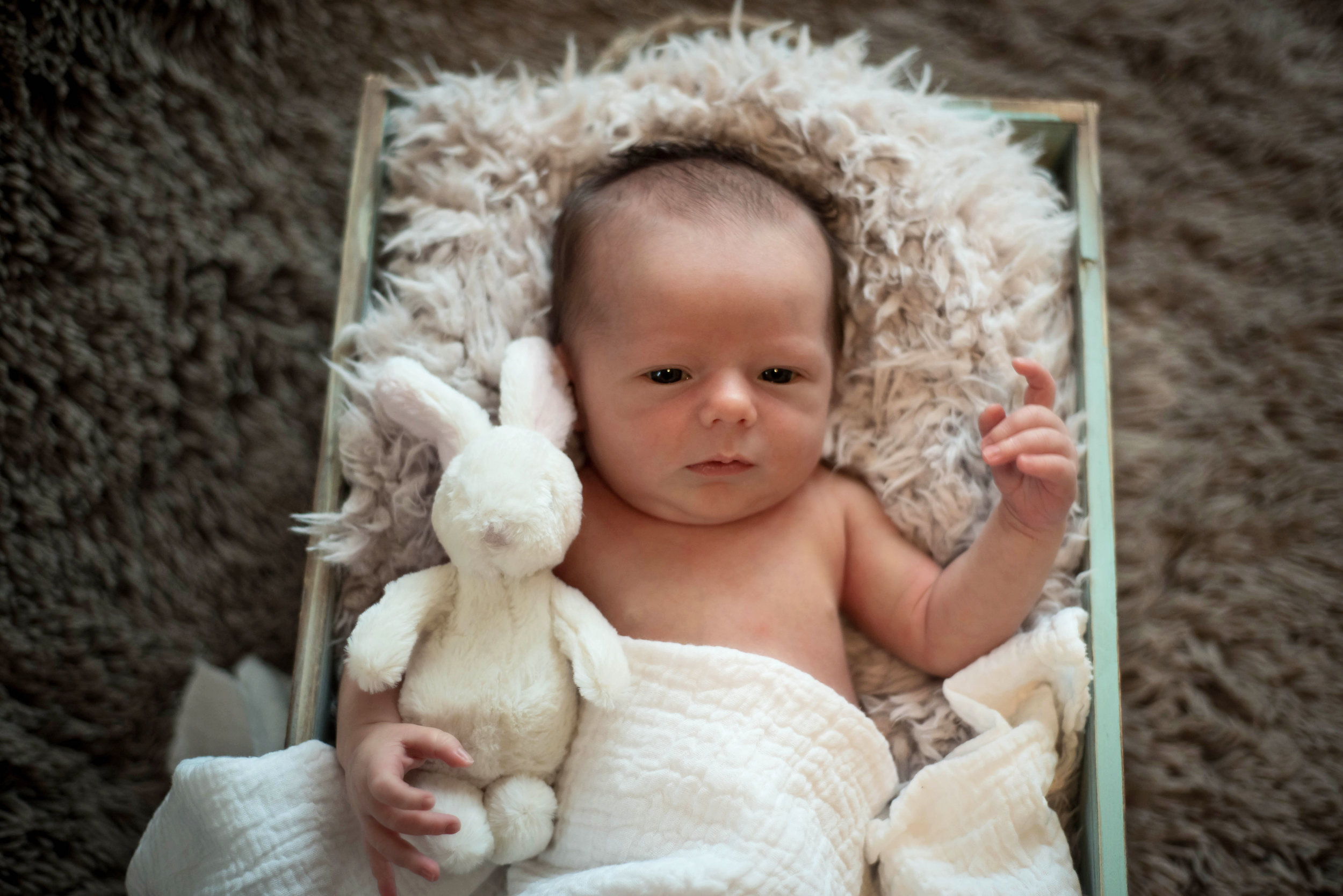 The Pearson Family of FOUR! — Karin Lertora Photography