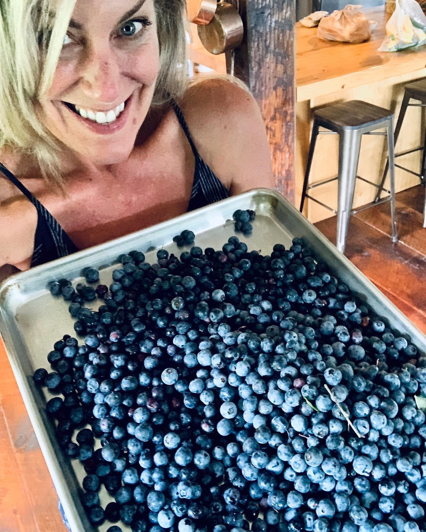 Omg the most amazing blueberries! Thank you @chattooga_belle_farm
