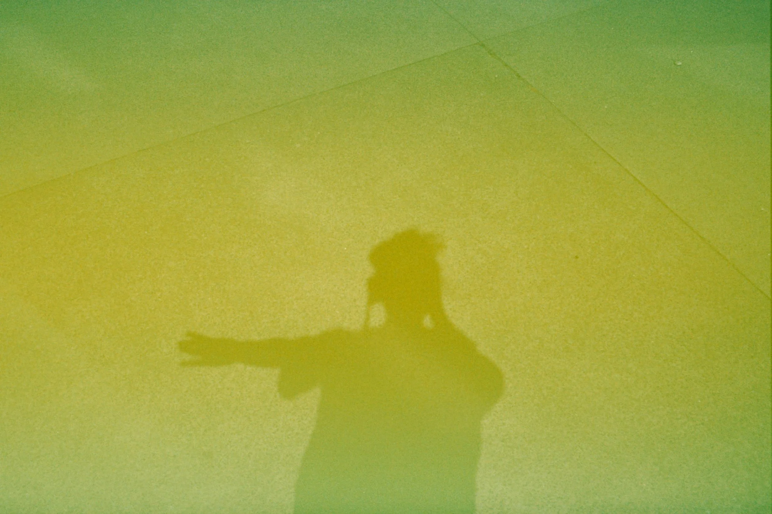 Realistic Sets vs. Green Screens: When Authentic Environments Win