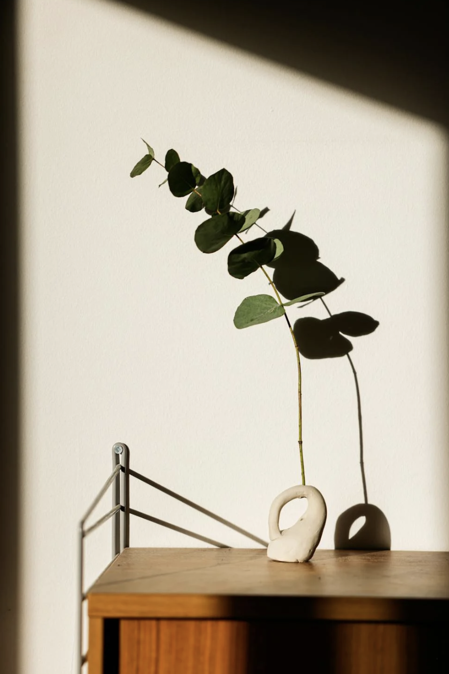 How to Train Your Eye to See Cinematically