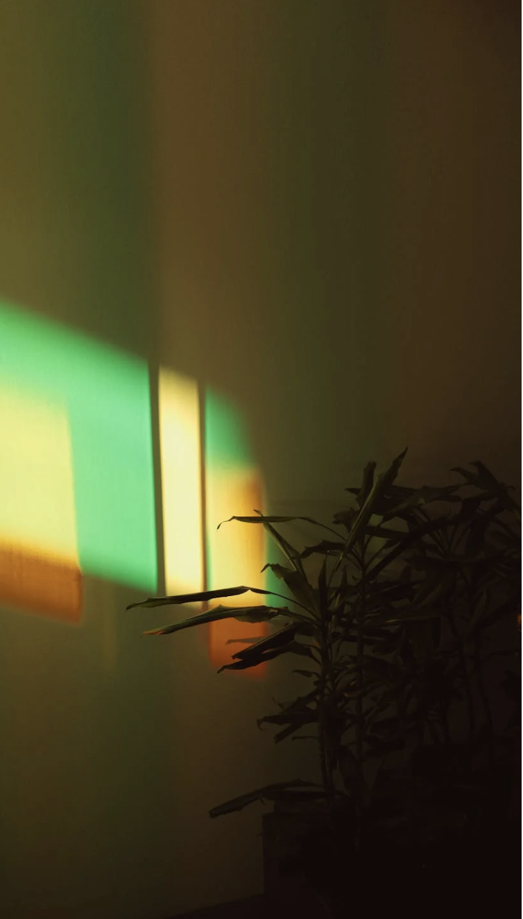 What the Best Film Locations Have in Common