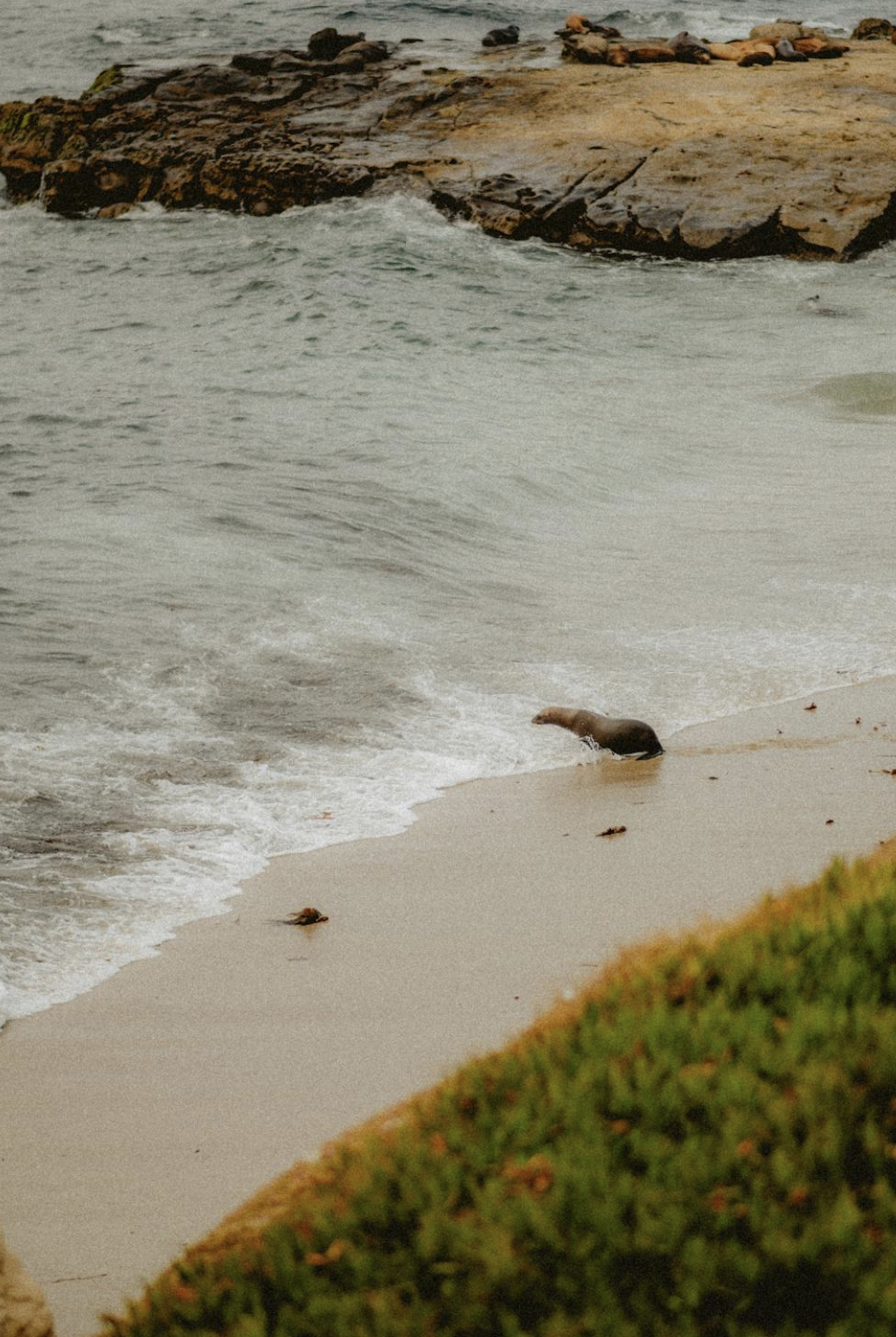 If AI Can Make Anything, What Becomes of Originality in Film?