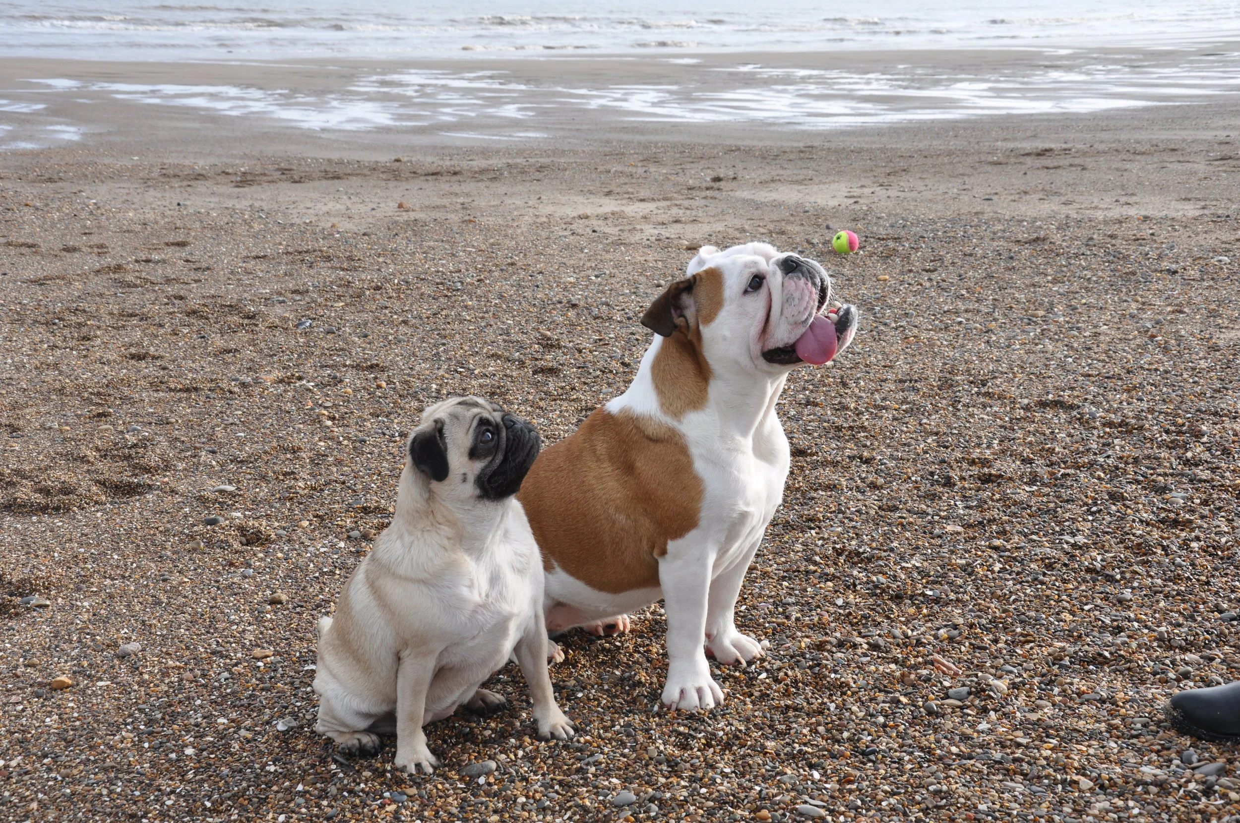 Gallery — Springfield Farm Campsite