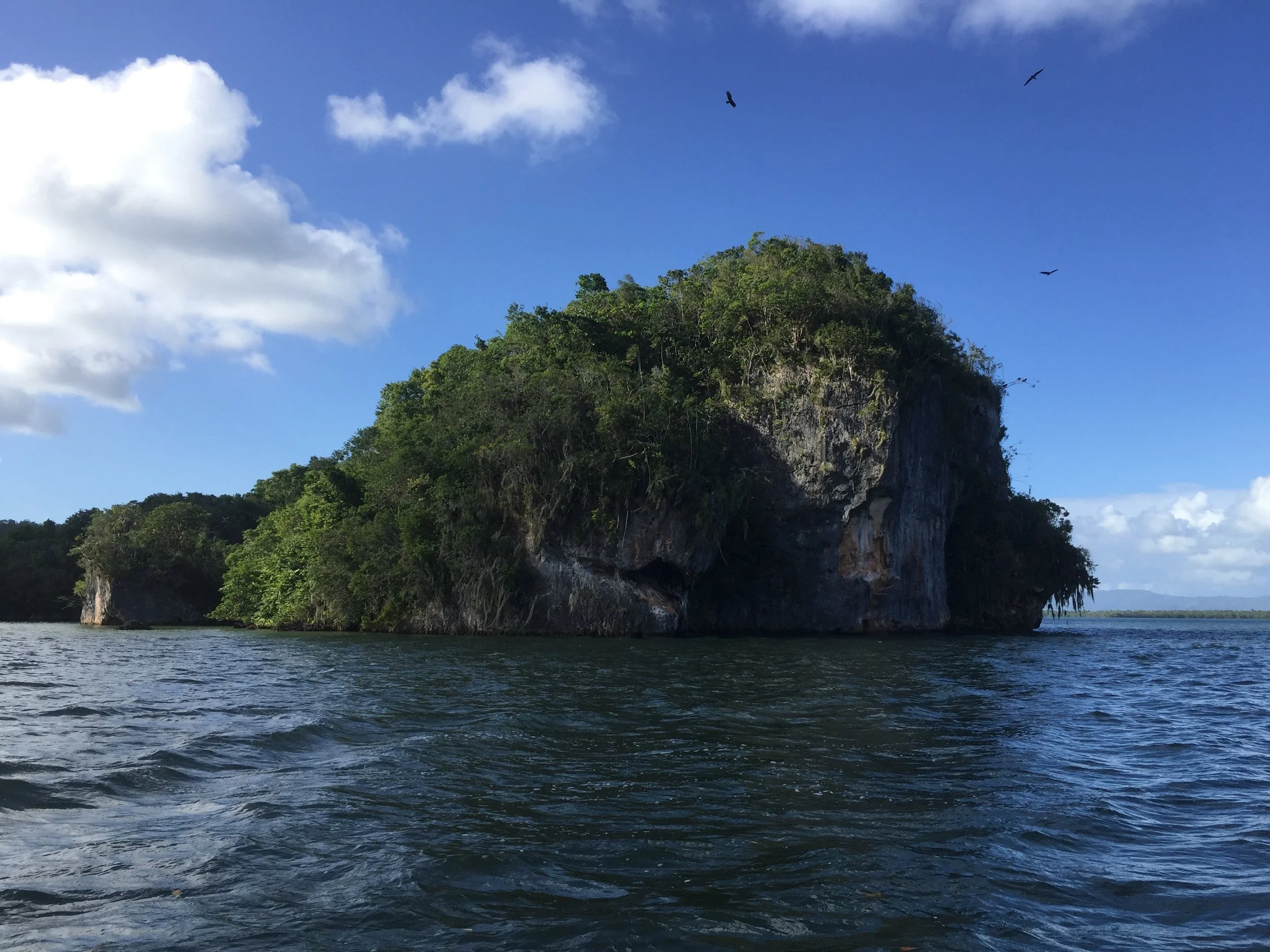 One of the unreal islands at Los Haitises