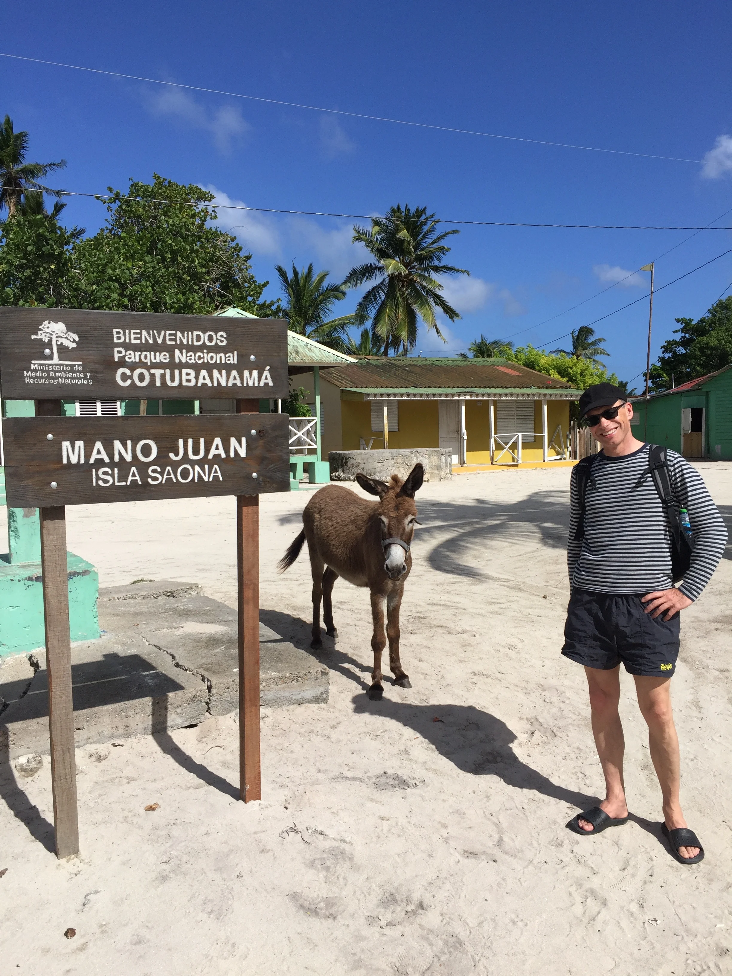 A dad and a donkey walk into a town...