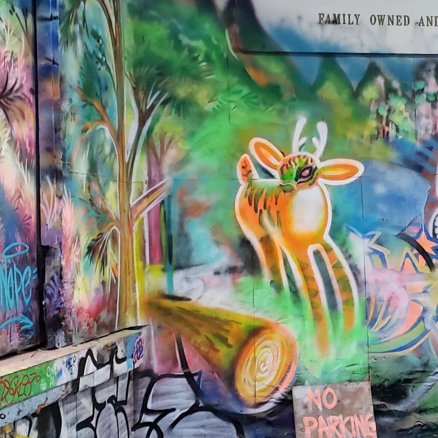 🌿🦌
.
.
.
.
.
Artist: Skoge? 

The tag name wasn't clear because there were several names around the mural, but I found past tags from Skoge from another poster on Instagram that have the same art style of deer.