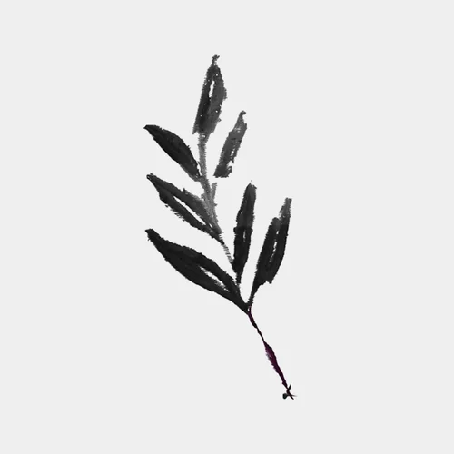 leafLogo.jpeg