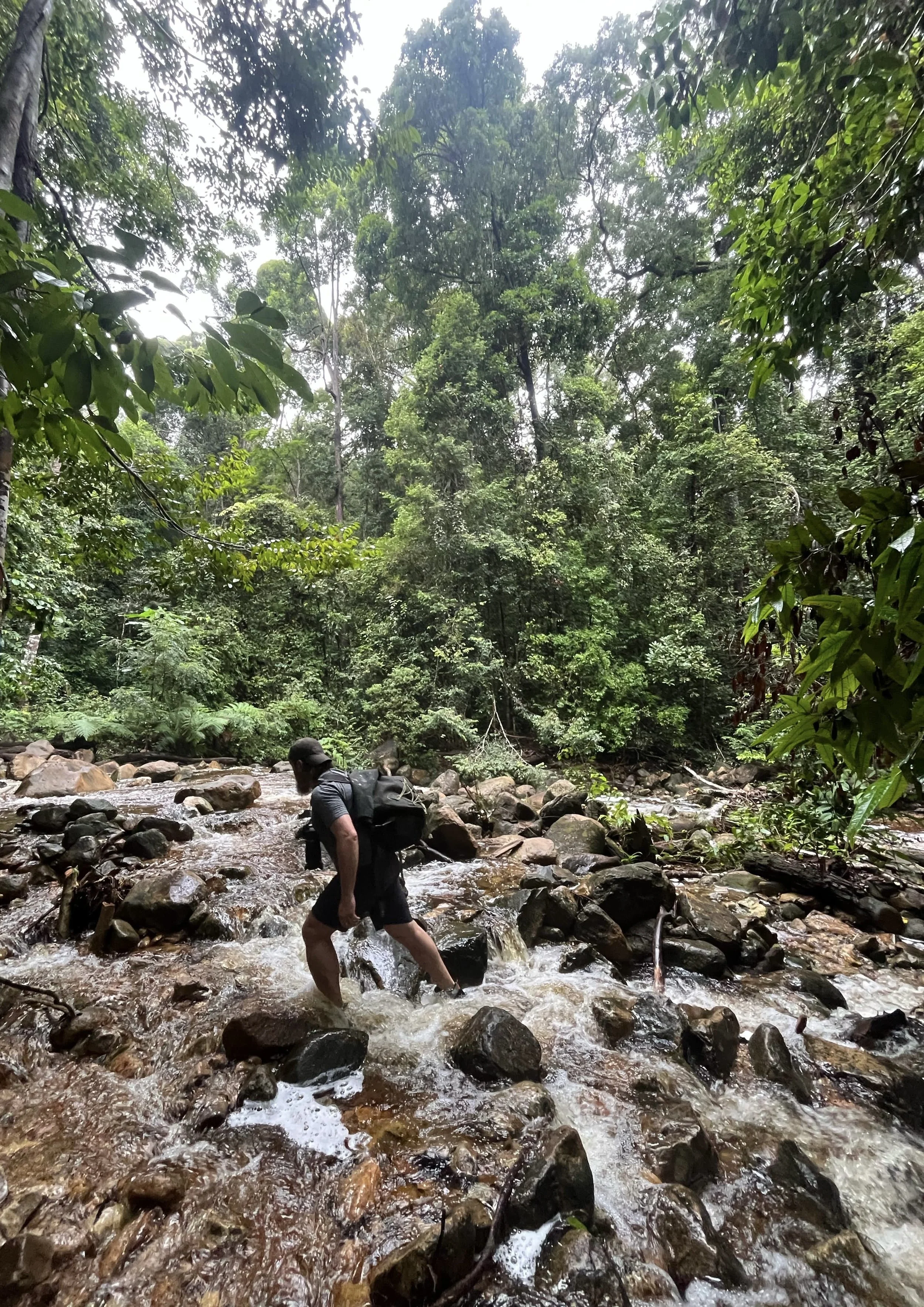 daea629c-e3f8-4a6d-a8ae-6b2c880cc911 3.jpg