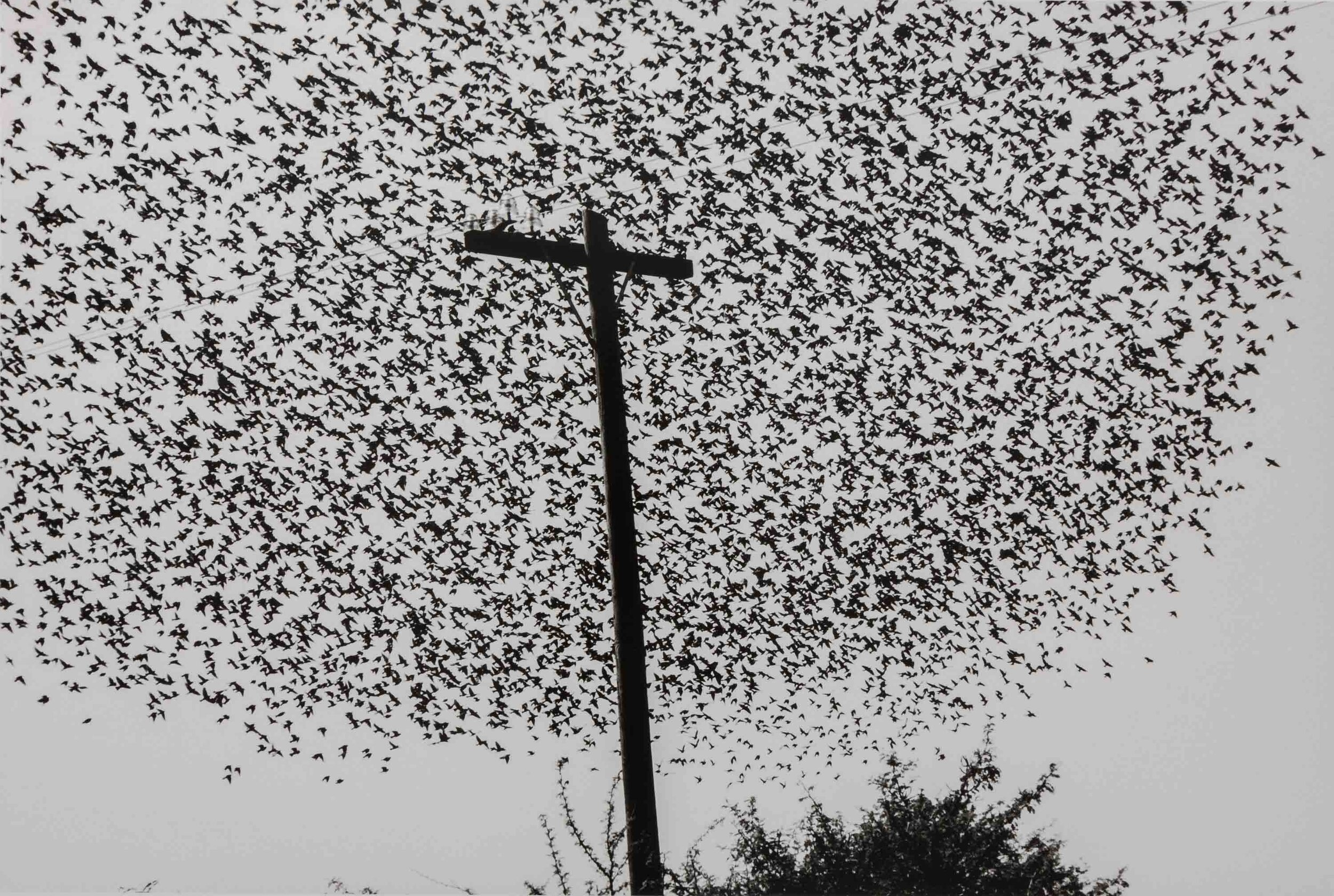 200226120703-04-graciela-iturbide-exhibition.jpg