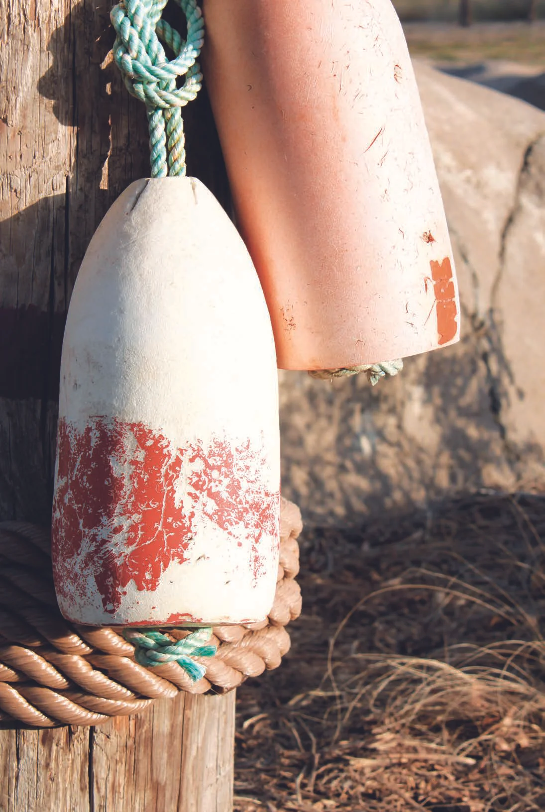 Let's Hear It For The Buoys