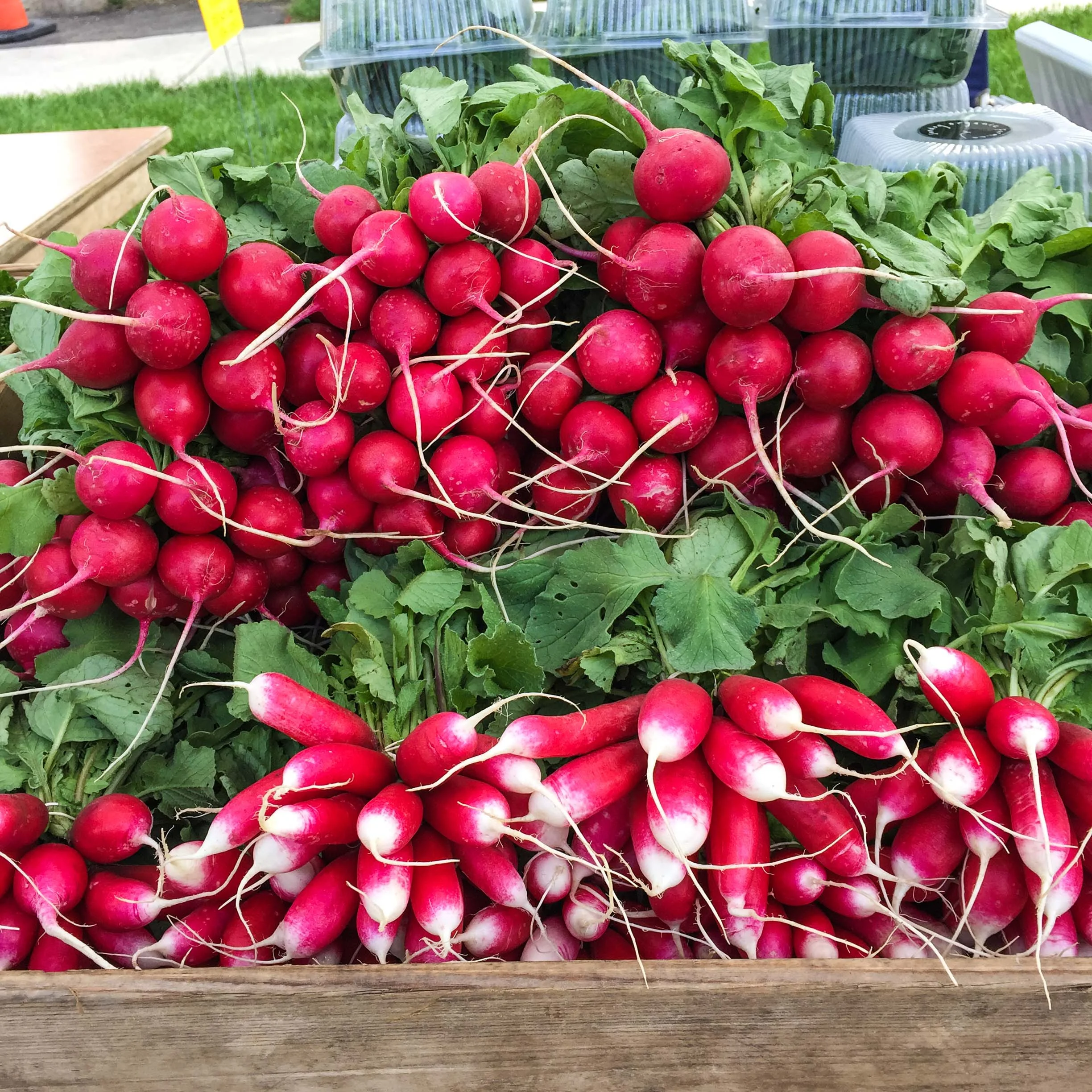 produce-38.jpg