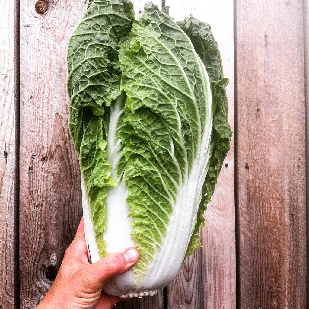 produce-32.jpg