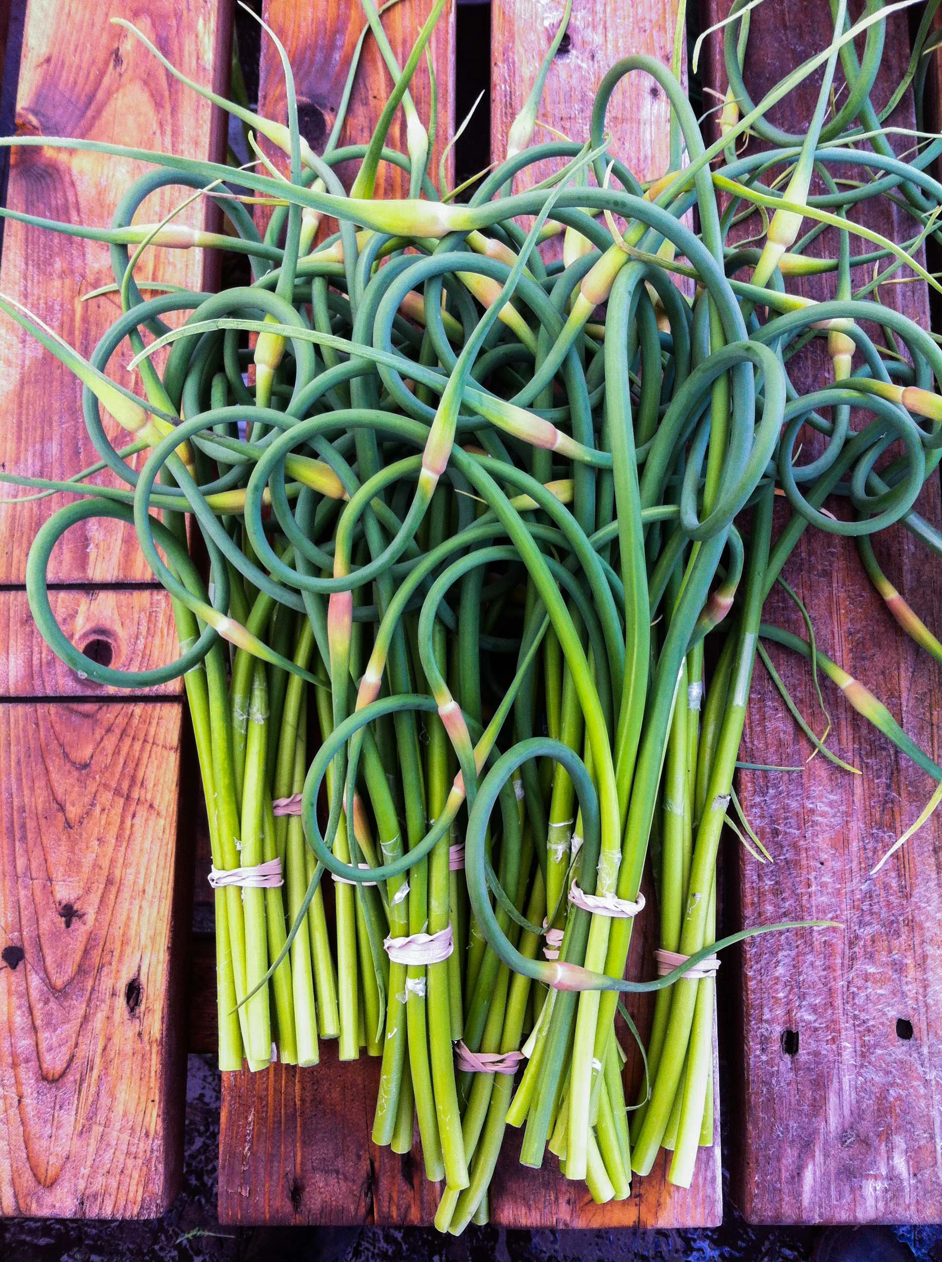 produce-5.jpg