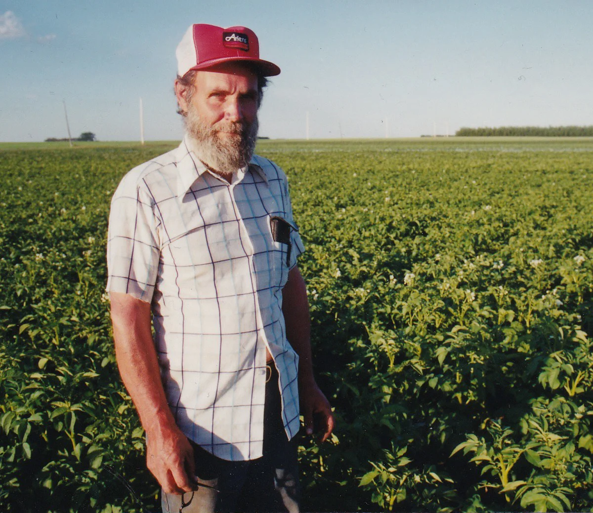 Dennis Vriend (James's dad) in a field of Vriend Organic Farm's potoatoes...Dennis was a passionate advocate for organic agriculture.