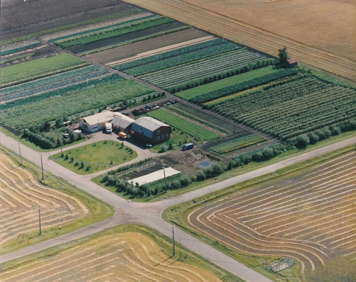Lush green fields at Vriend Organic Farm - where James grew up.