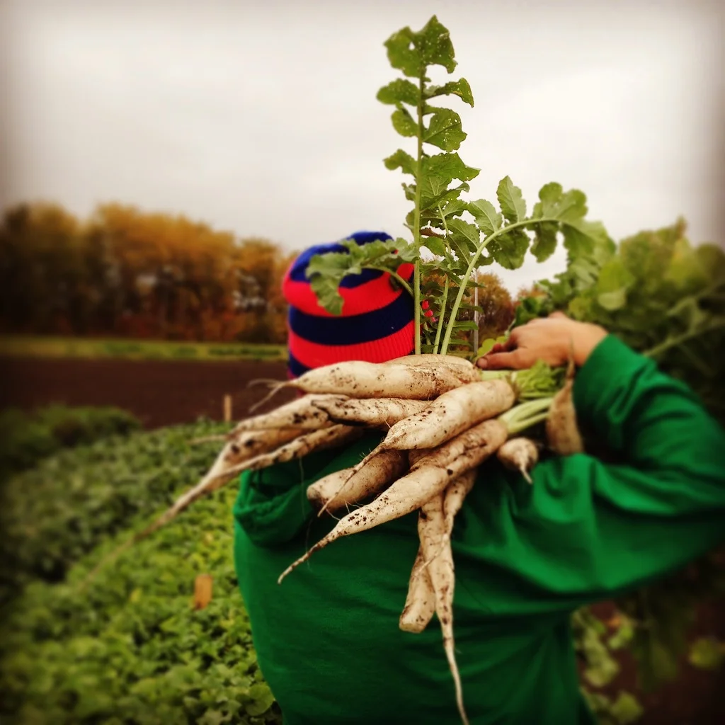 fall2016iphone 124.JPG