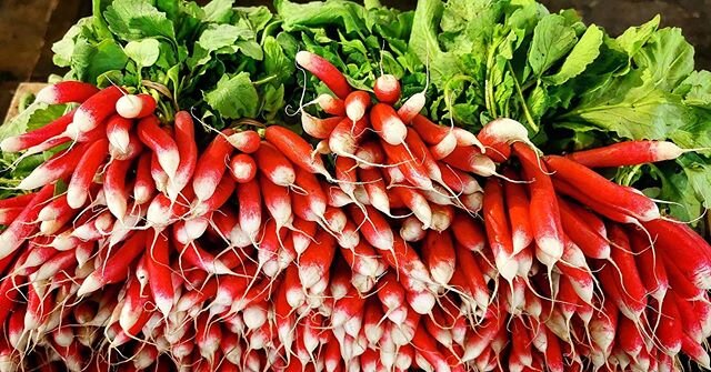 If you missed these beauties this week we'll be back at @strathconamarket with them next Saturday!
#radishes #frenchbreakfast  #farmersmarket