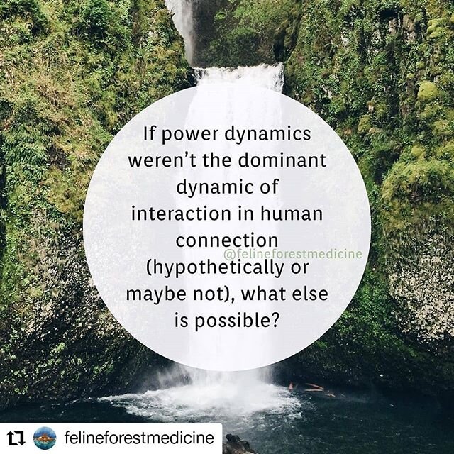 Reposted with permission from @felineforestmedicine
&bull; &bull; &bull; &bull; &bull; &bull;
If power dynamics weren&rsquo;t the dominant dynamic of interaction in human connection (hypothetically or maybe not), what else is possible?⁣⁣
&bull;⁣⁣
MIR