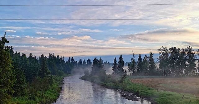 Anyone out there like getting up early?

Not sure I can say I LIKE getting up early, but you can't beat views like this!
#sturgeoncounty #sturgeonriver #marketmornings
