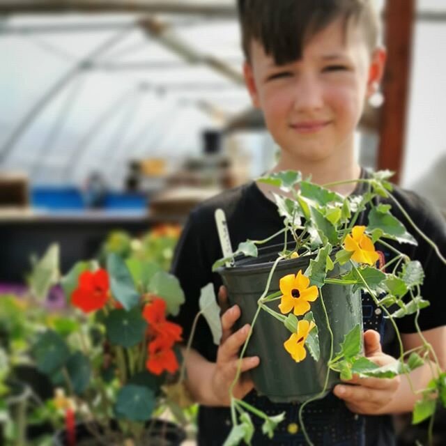 George grew these for you!

We will have them at the @strathconamarket tomorrow where we vendors are redoubling our efforts to move folks through market to decrease the wait time outside. Please help us out by shopping expediently! Thank you ❤️ #farm