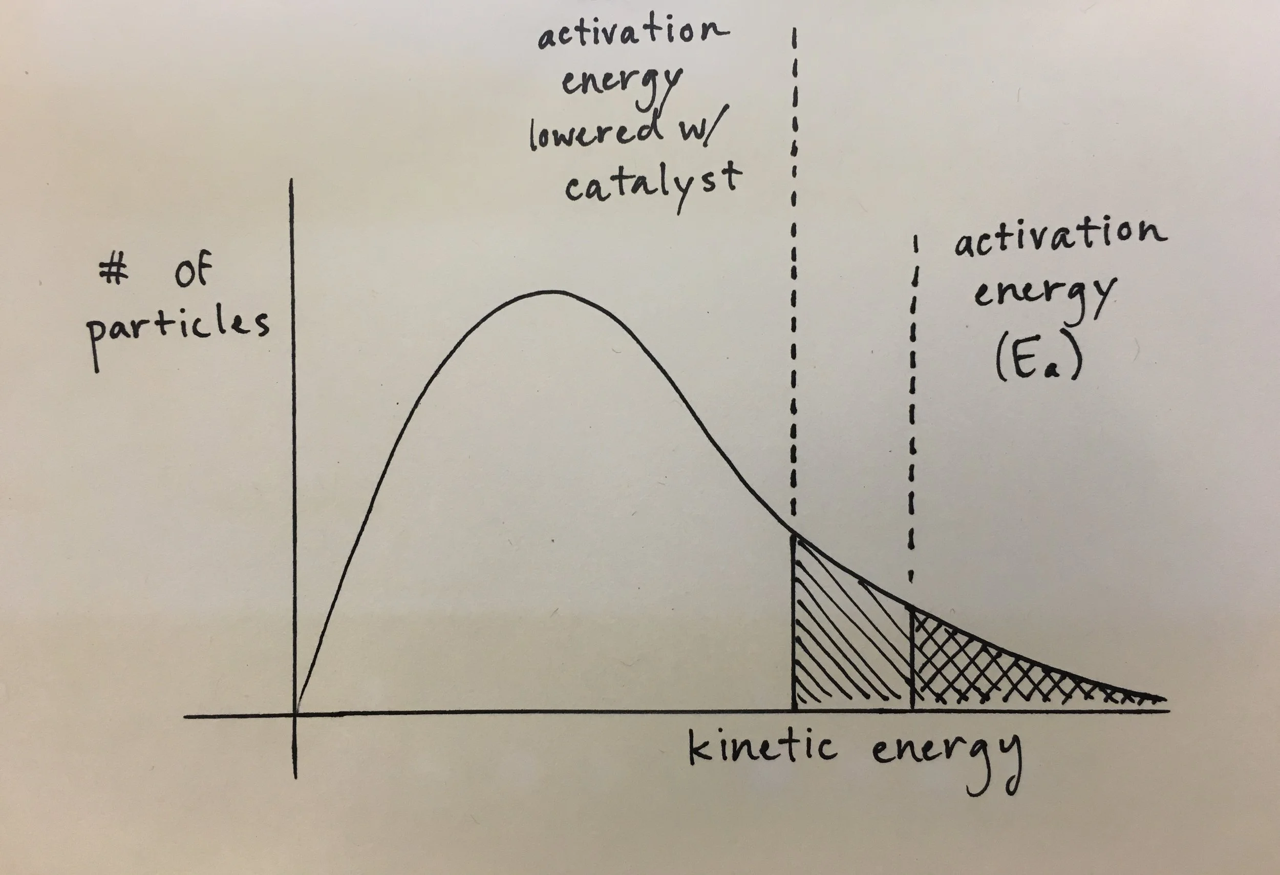 Catalysis lowers a reaction's activation energy, allowing a greater portion of the molecules to complete the reaction