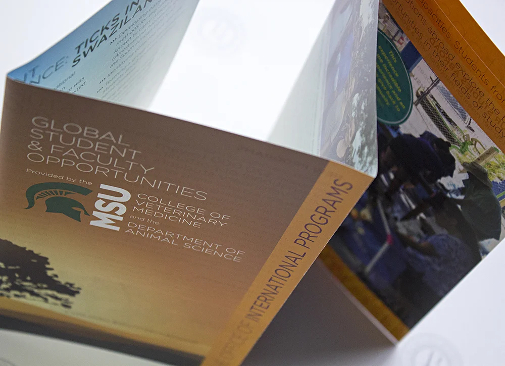 cvm intl_7010_sm.jpg