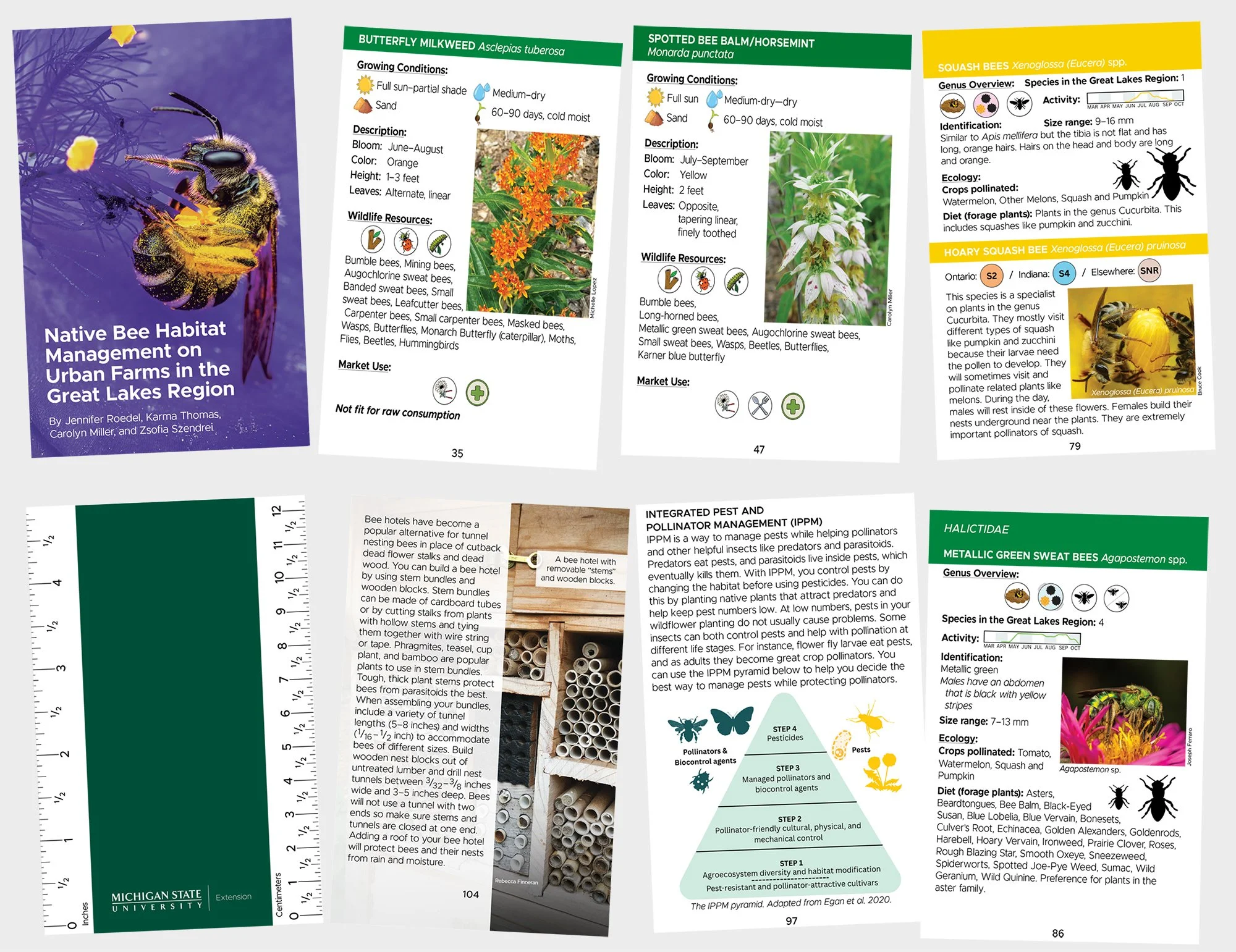 Native Bees_Habitat_Pocket guide.jpg