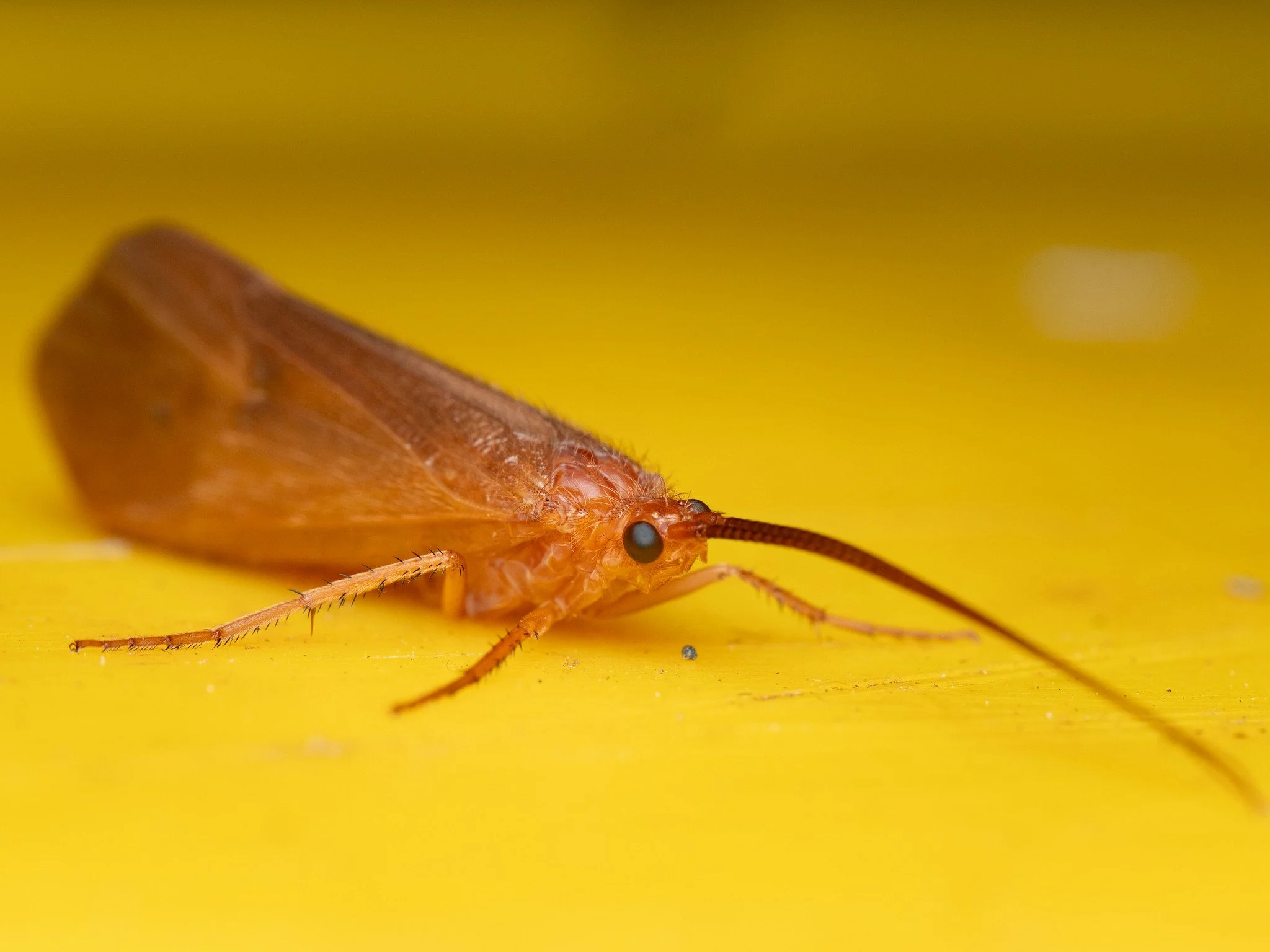 P9063068