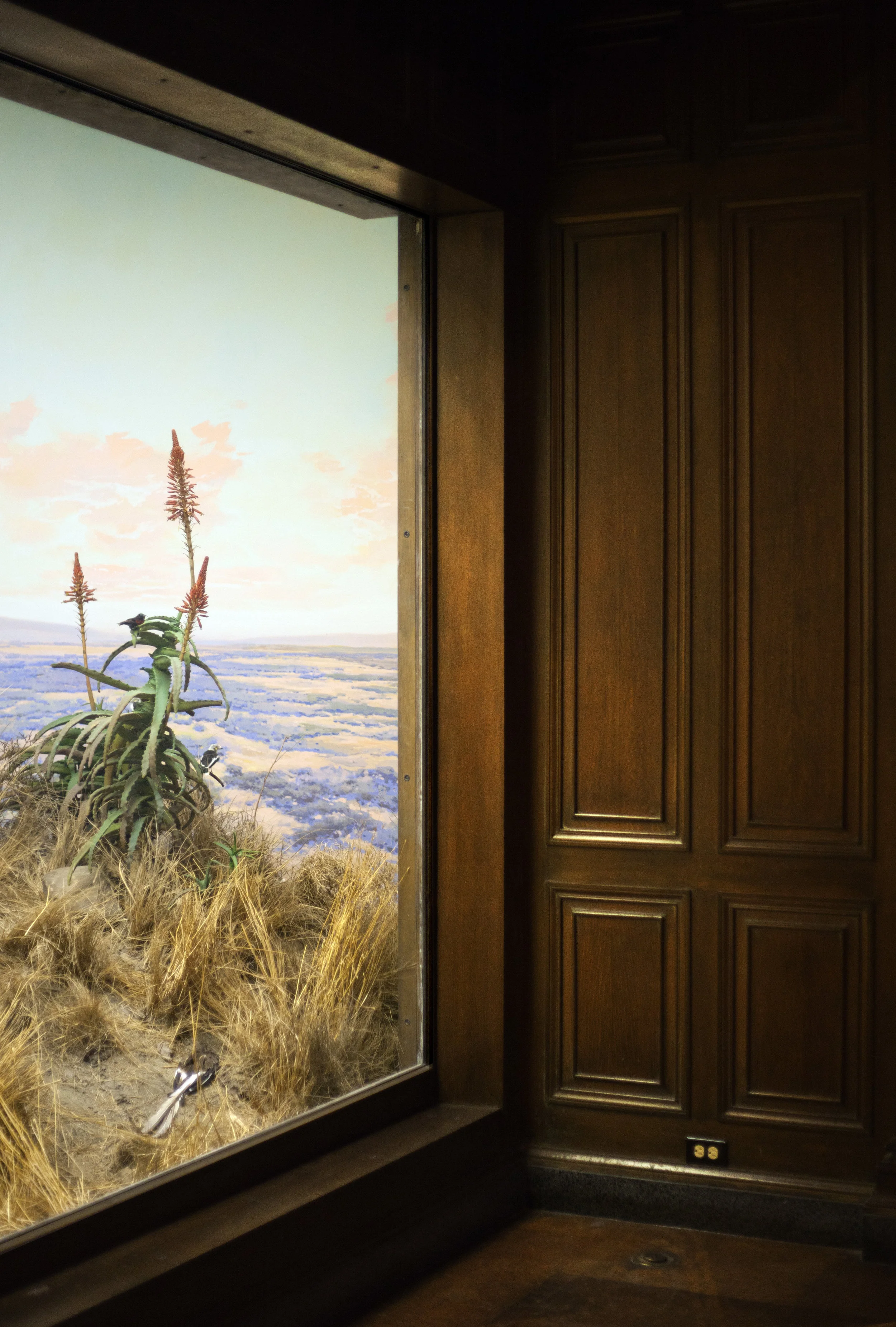 Plateau (Laikipia, Kenya), 2012, Archival Inkjet Print, 38" x 46" inches