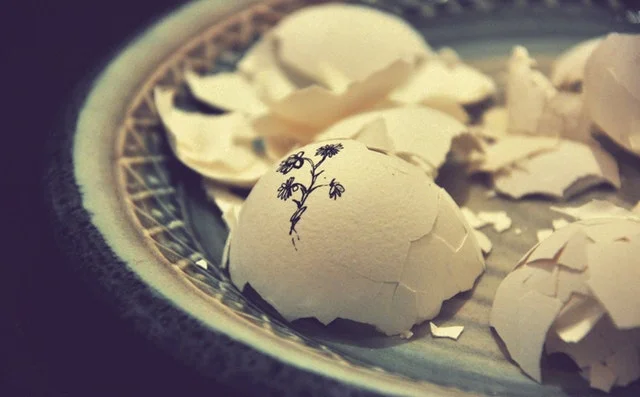 broken eggshells.jpg