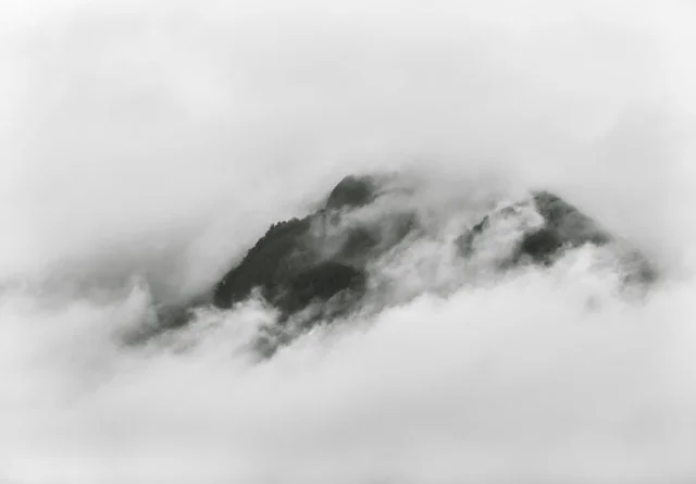 pexels-photo-441595.jpg