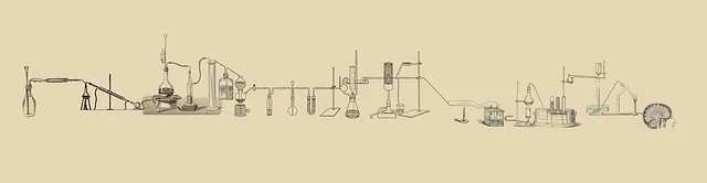 lab-512503_640.jpg