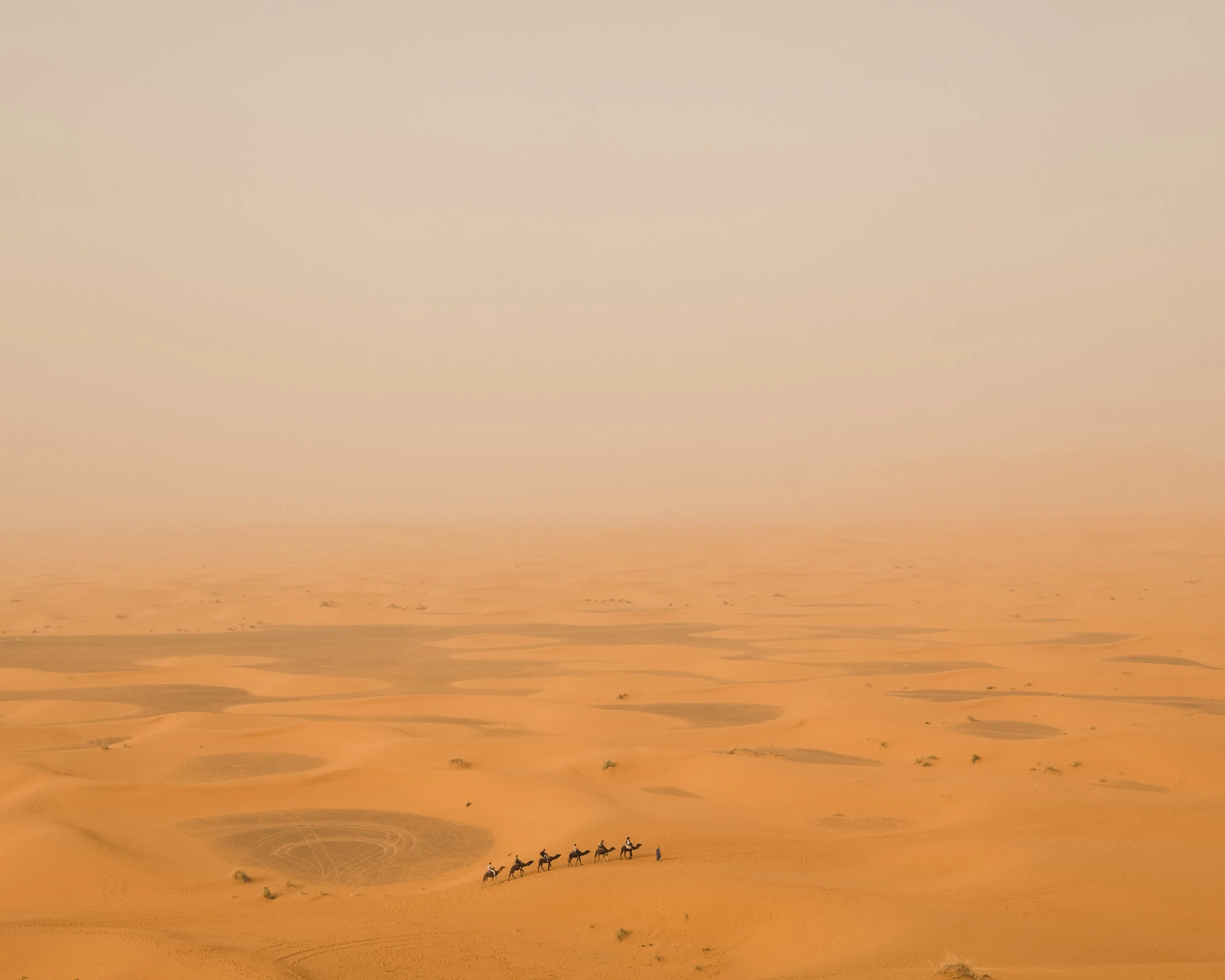 DSCF1274-2.jpg