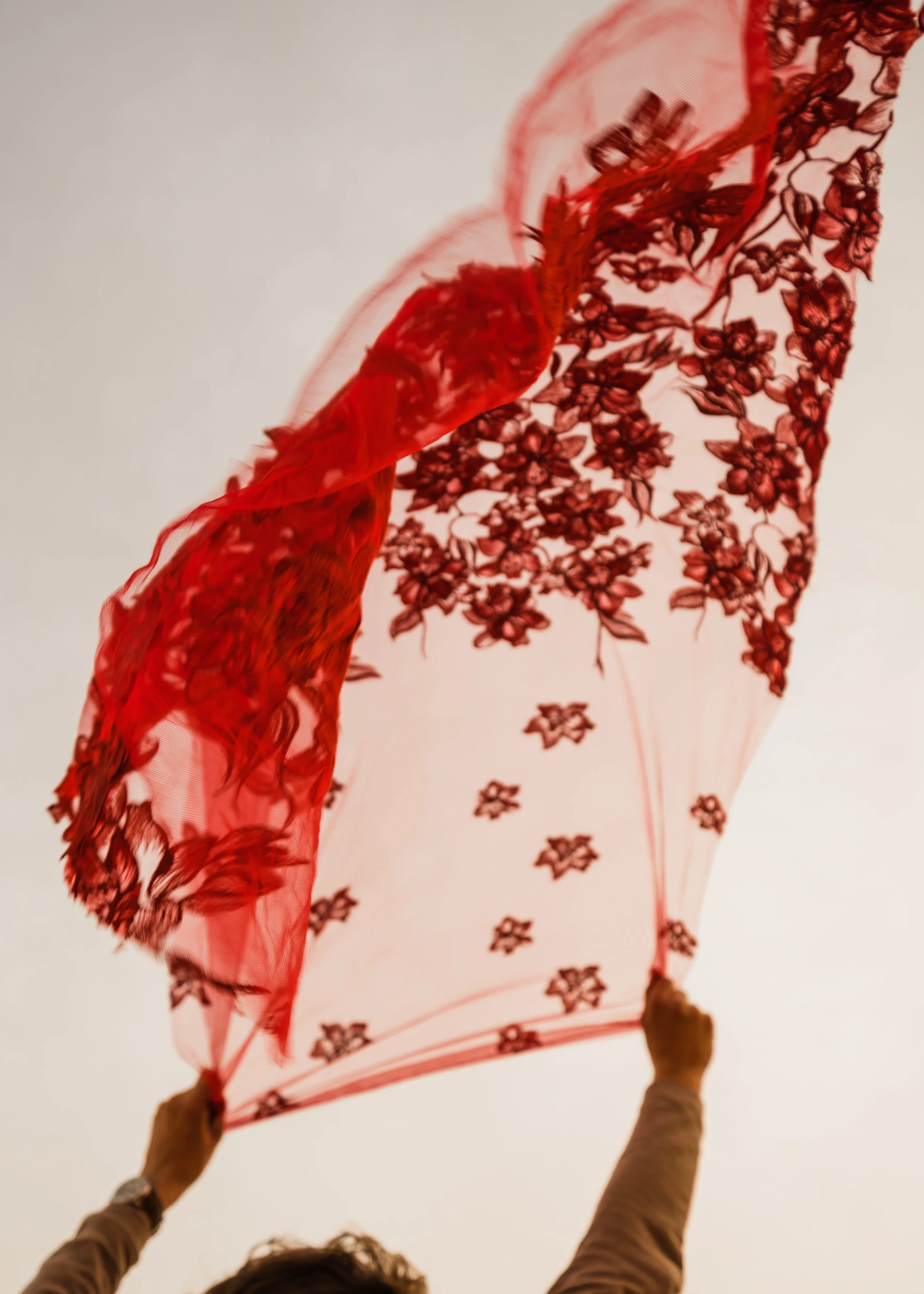DSCF1381-2.jpg