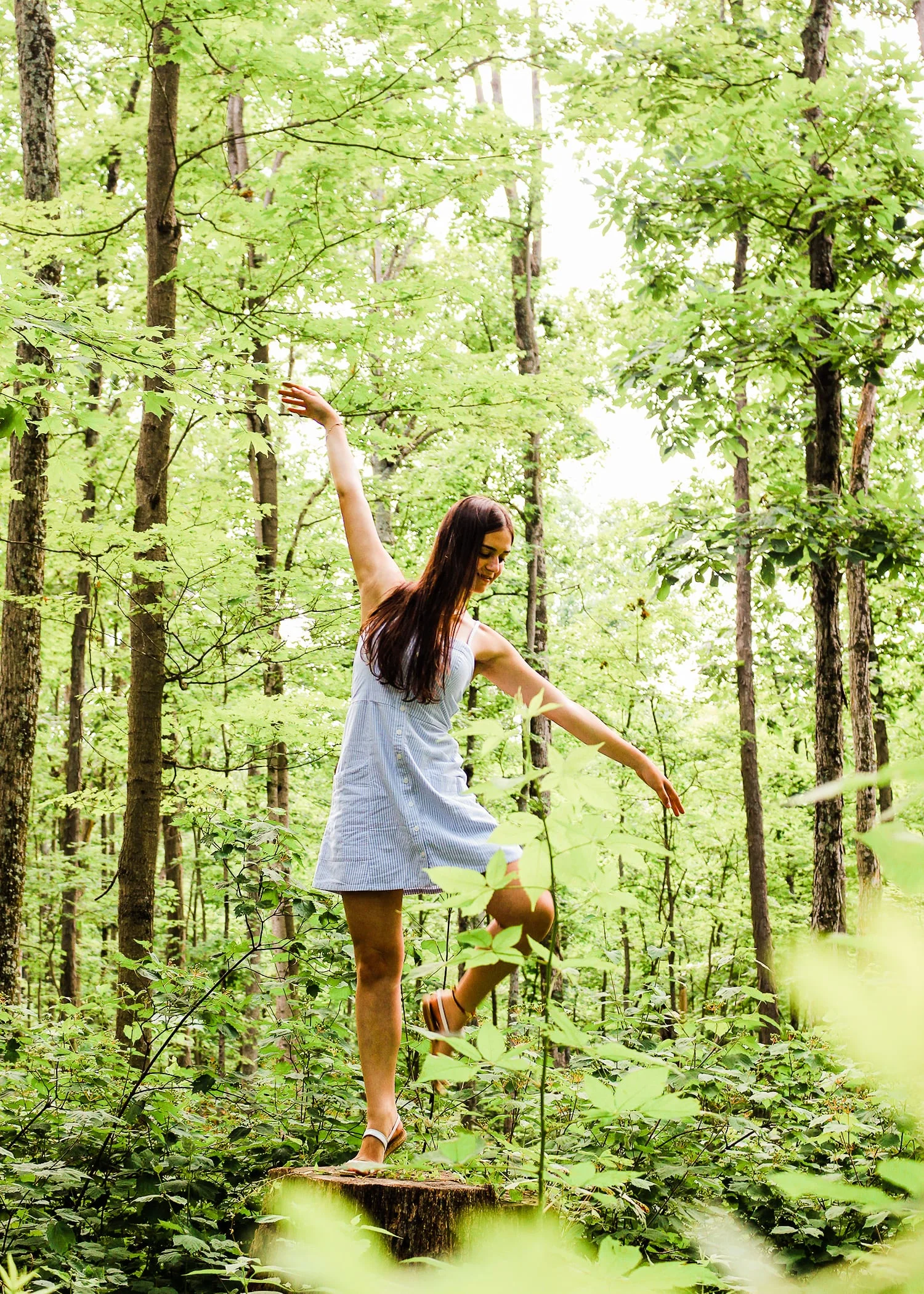 The Happiness Project