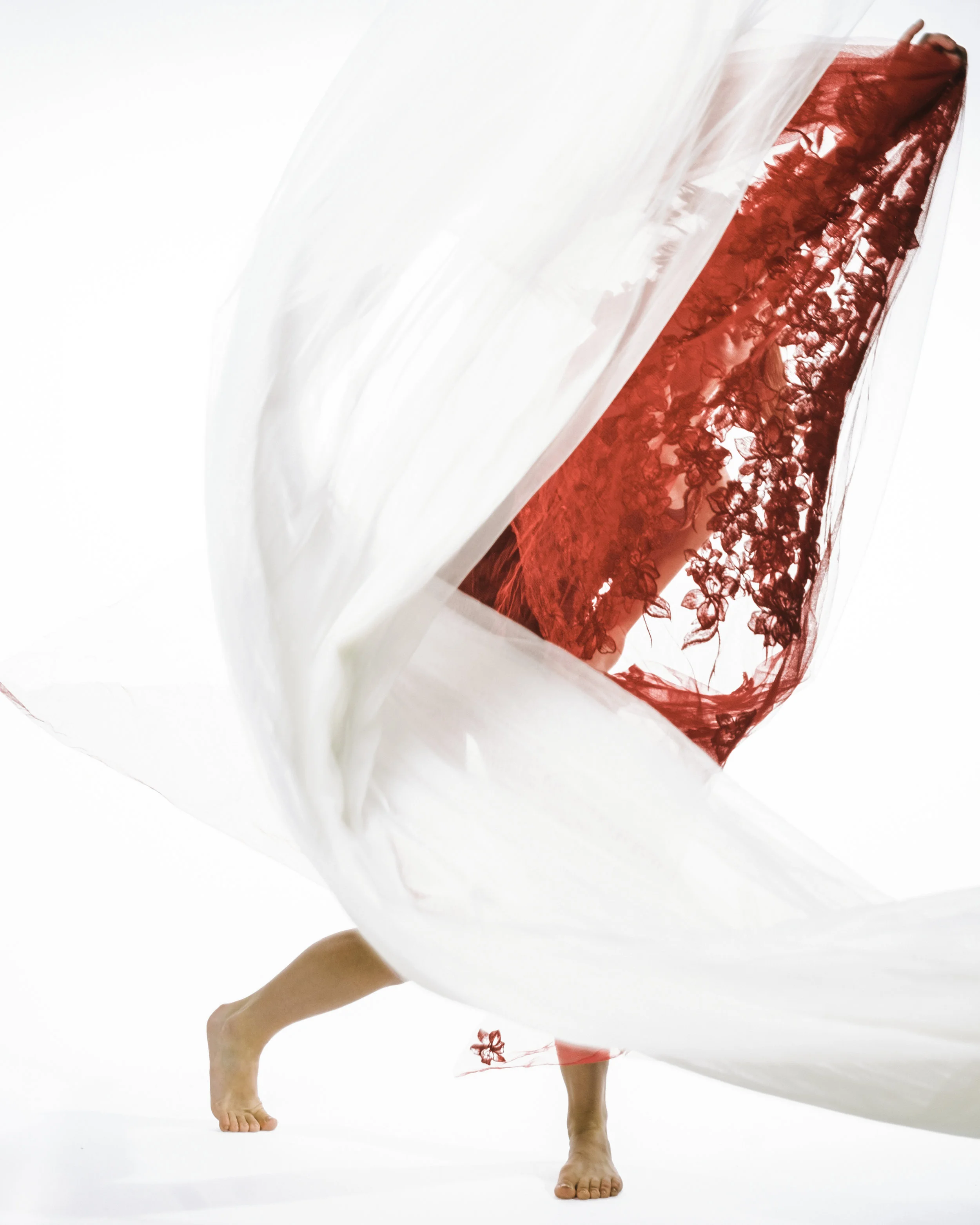 DSCF9090.jpg