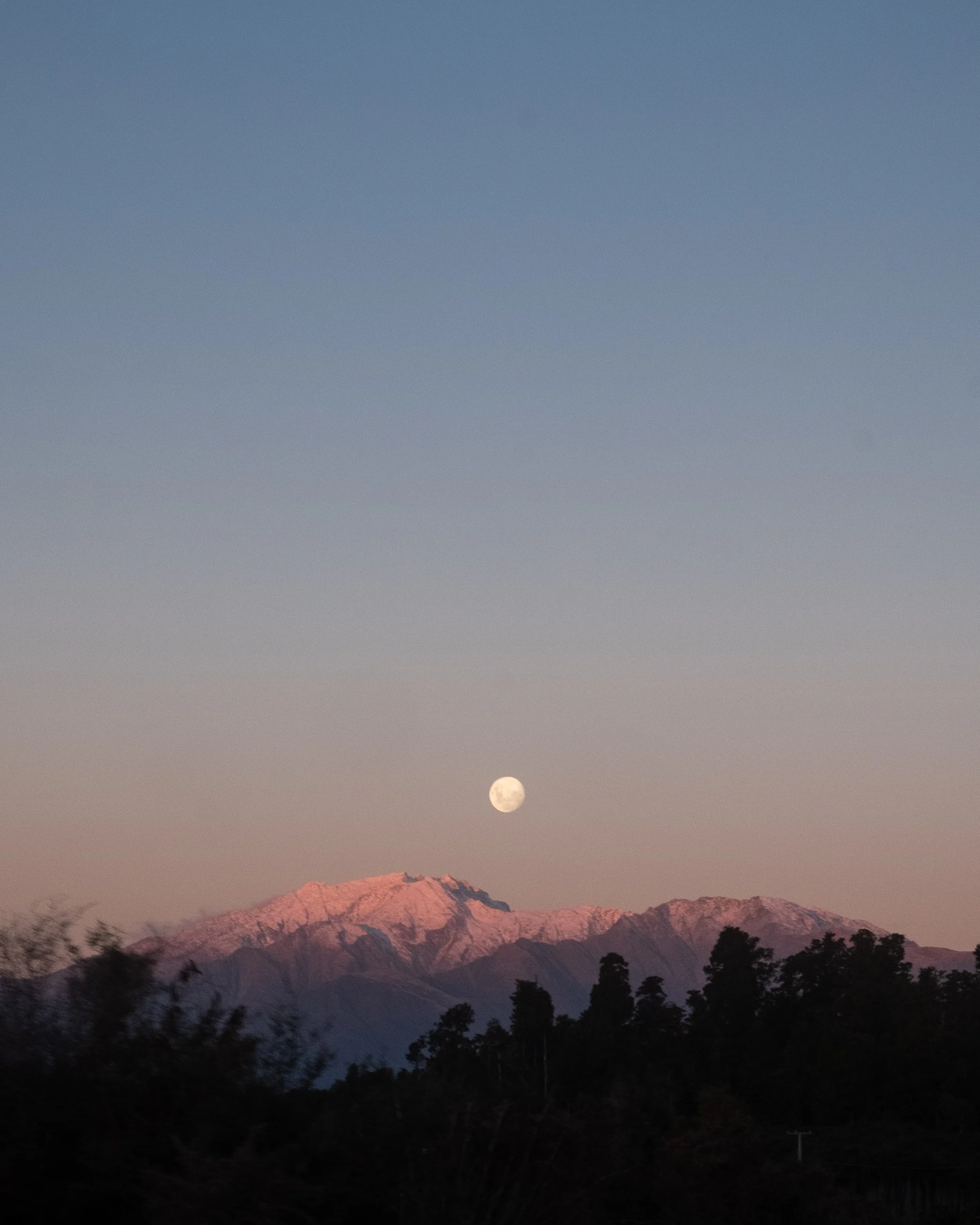 DSCF5565-min.jpg