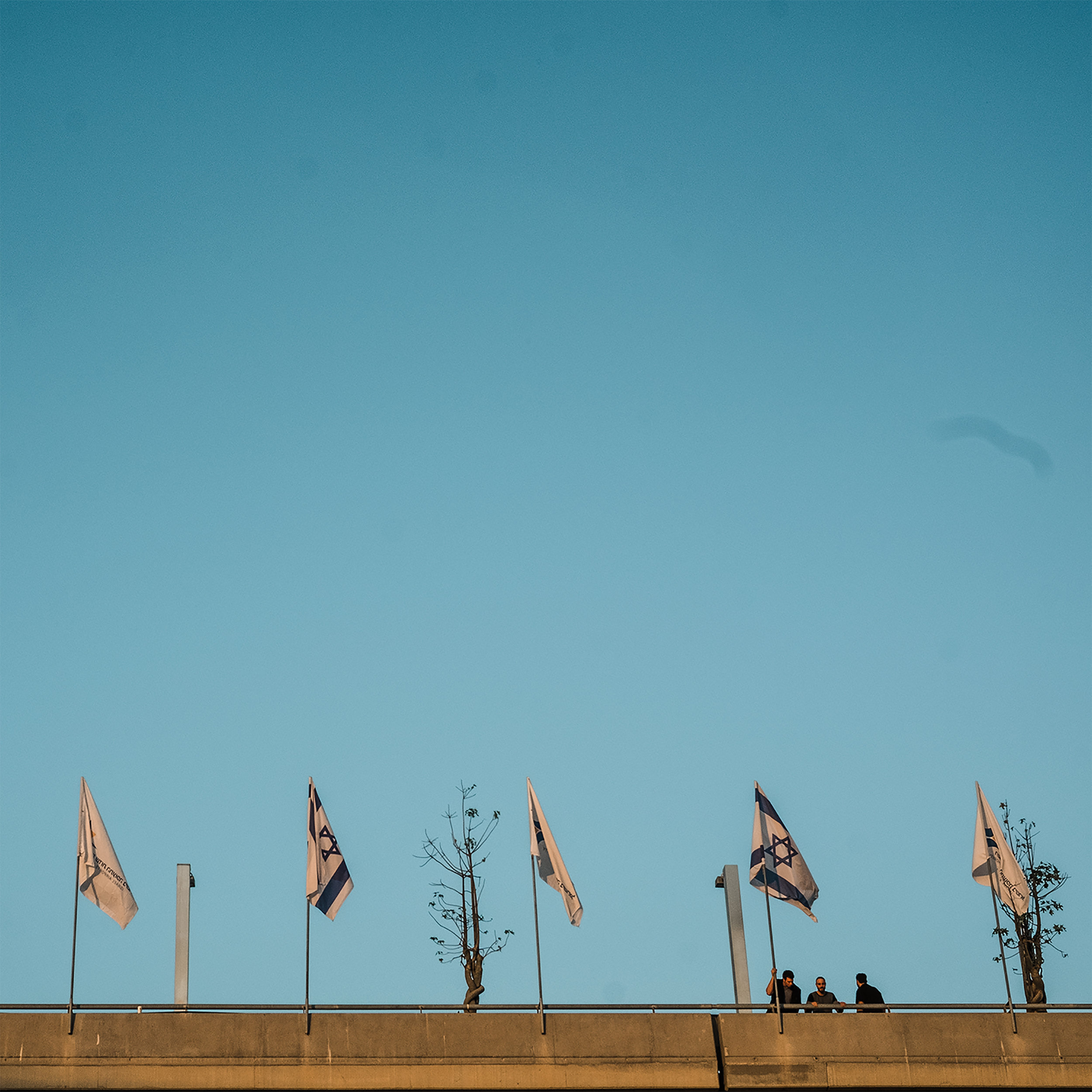 israeli_flags.jpg