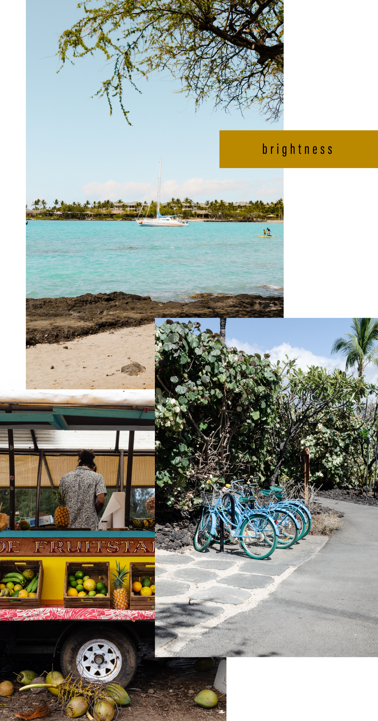 Bottega-x-Hawaii_Brightness.png