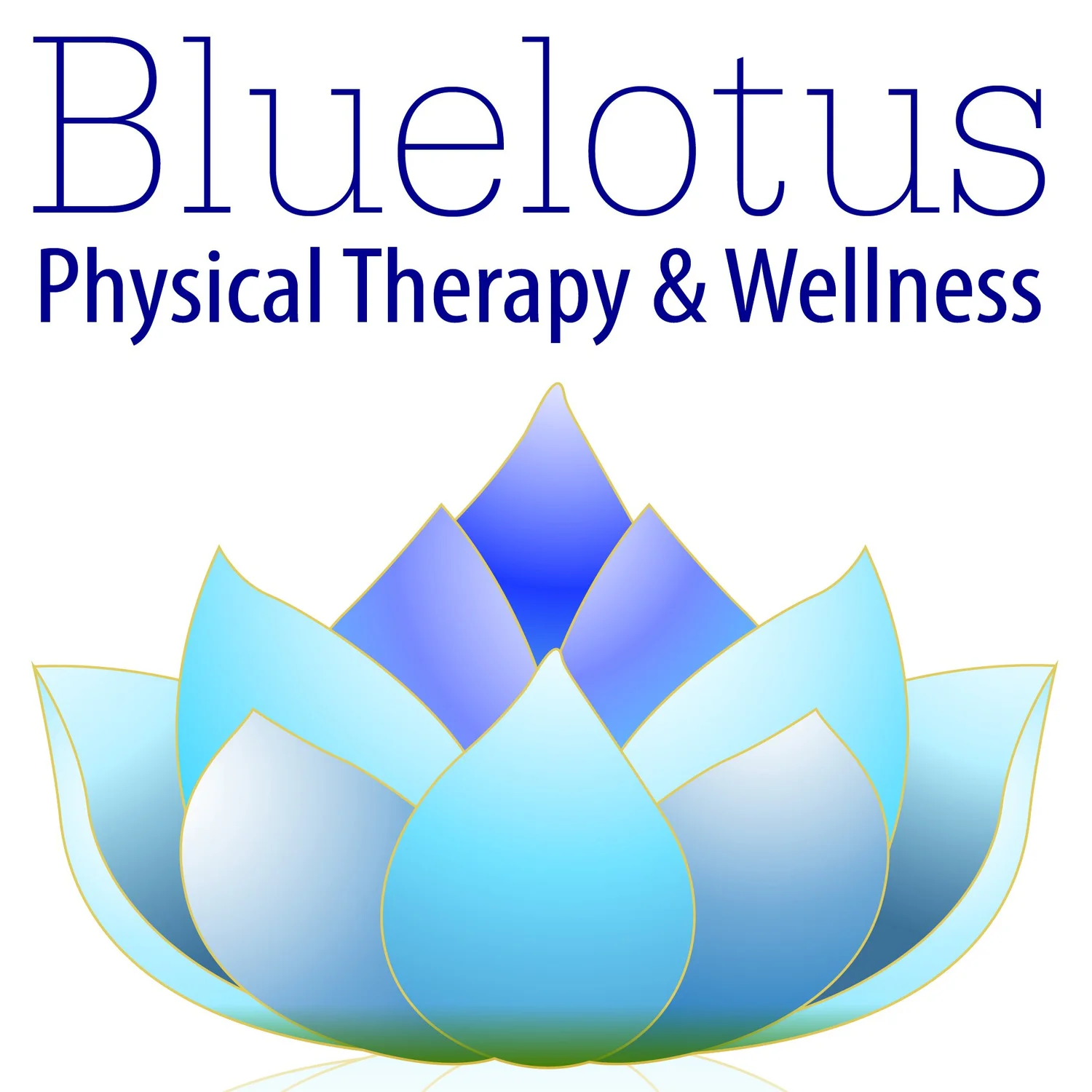 Blue Lotus Physical Therapy and Wellness 