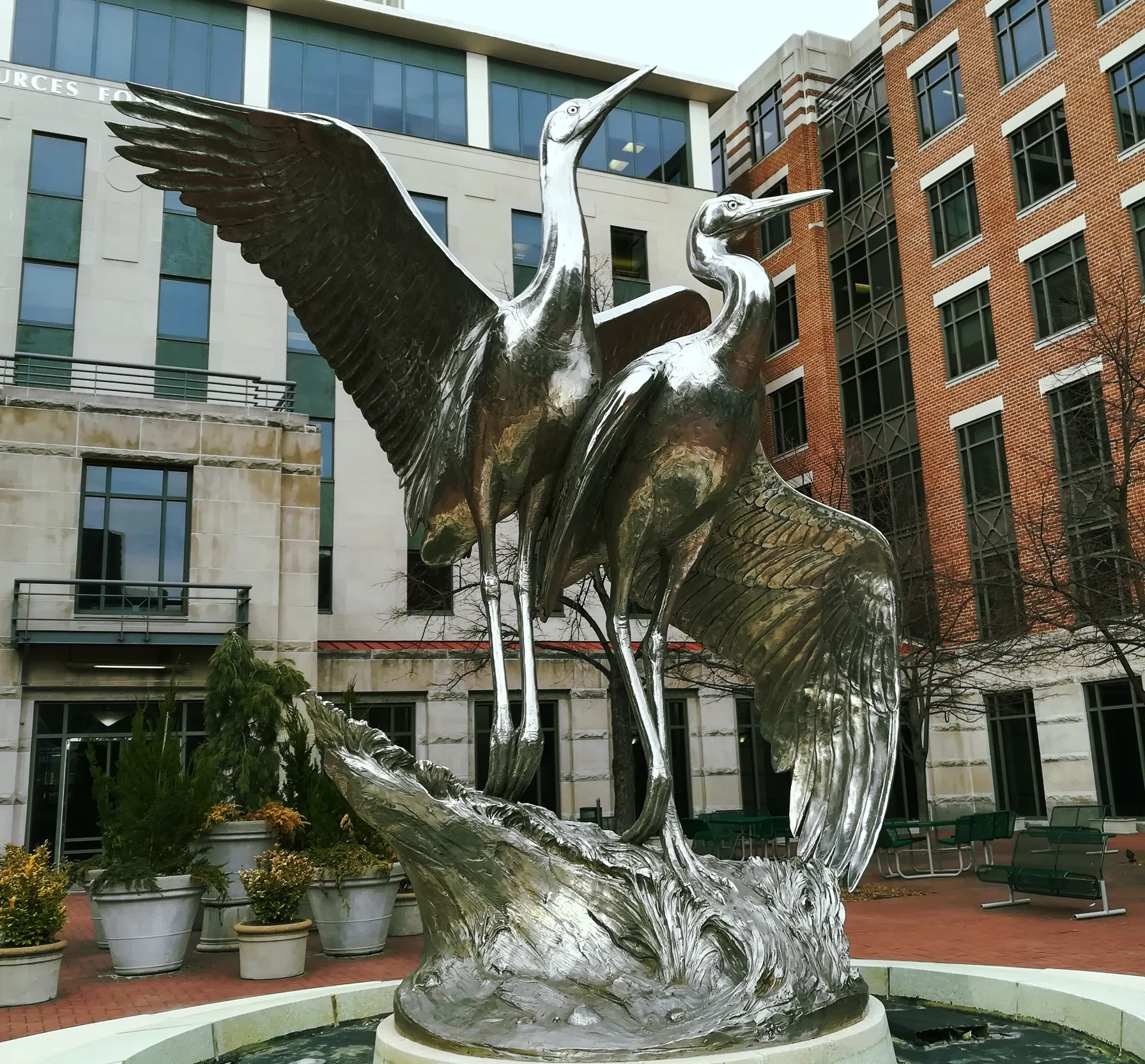 Majestic cranes, tucked away in a little patio in Dupont. 