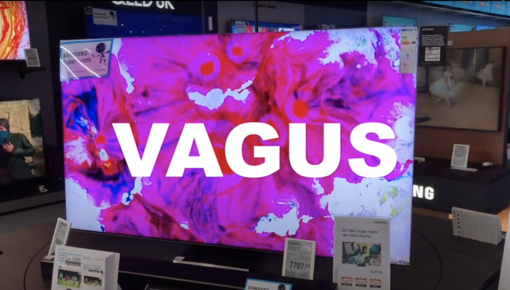 VAGUS (art film)